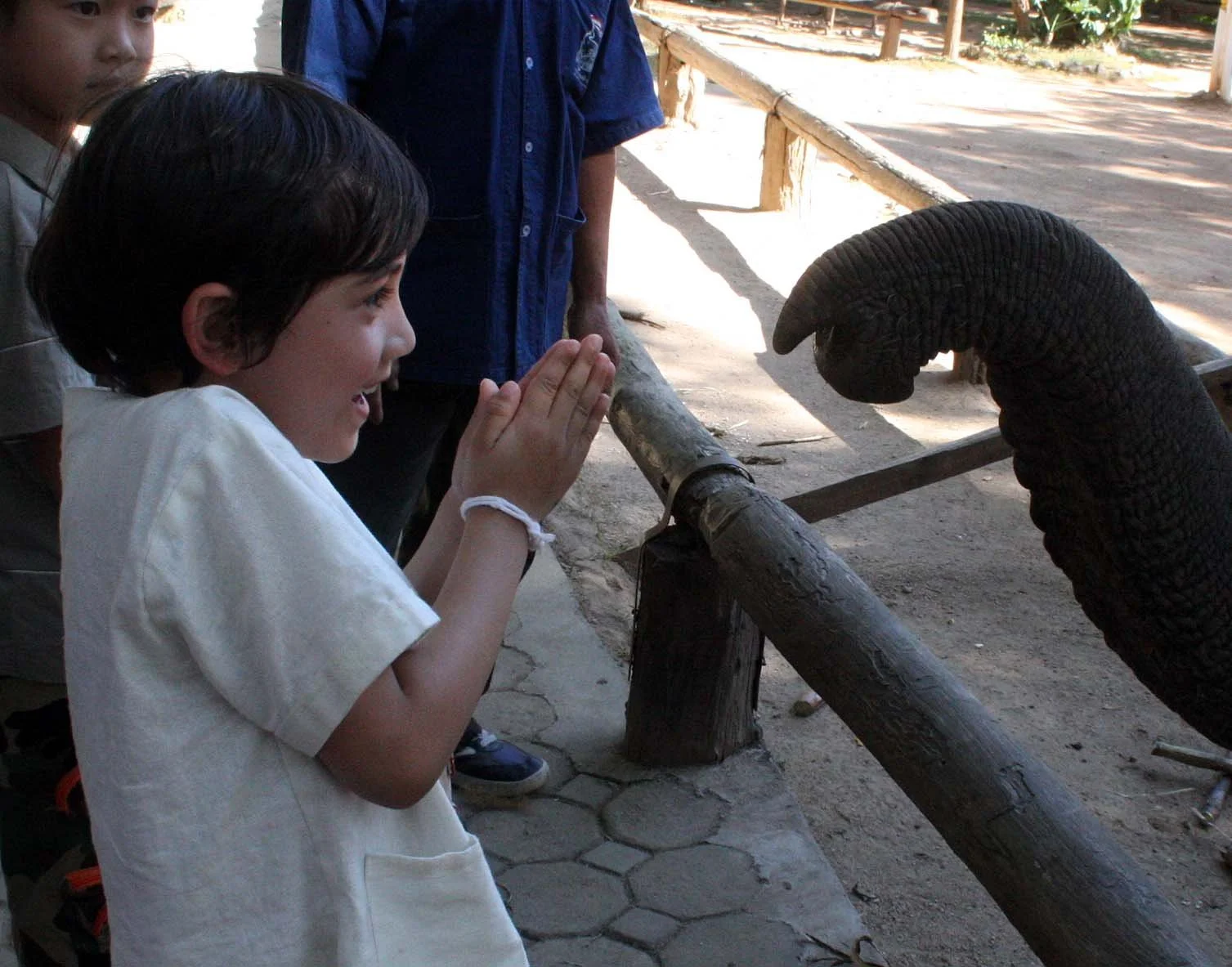 2008 Lampang City & Elephant Center (115).JPG