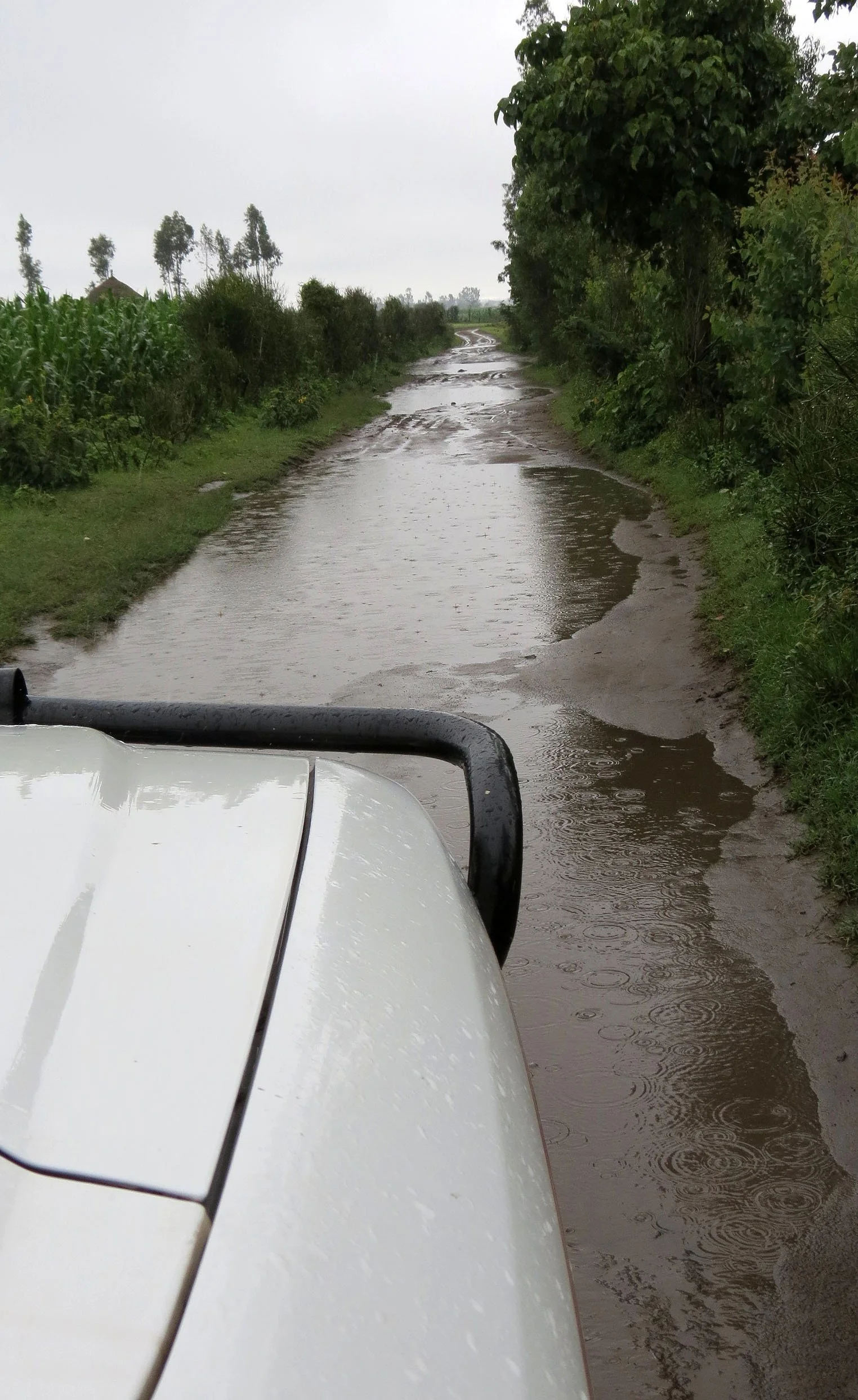 SENKELE SANCTUARY ETHIOPIA (76).JPG