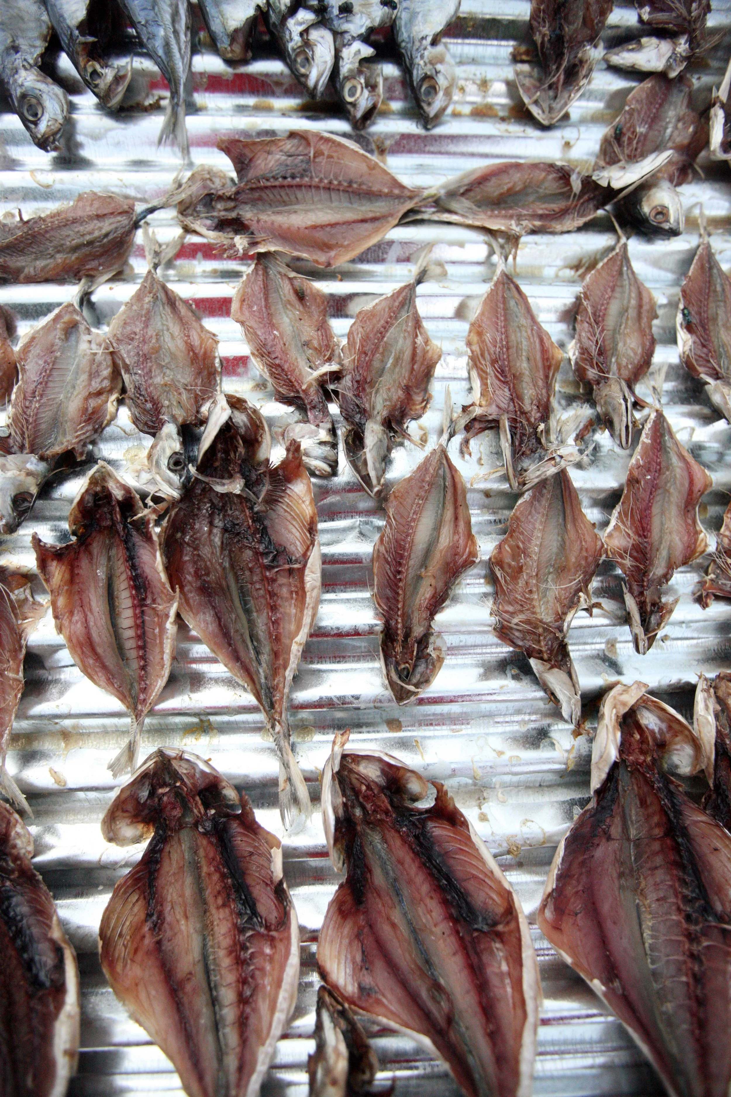 2015 Koh Lanta Songkran with friends from ISB (284).JPG