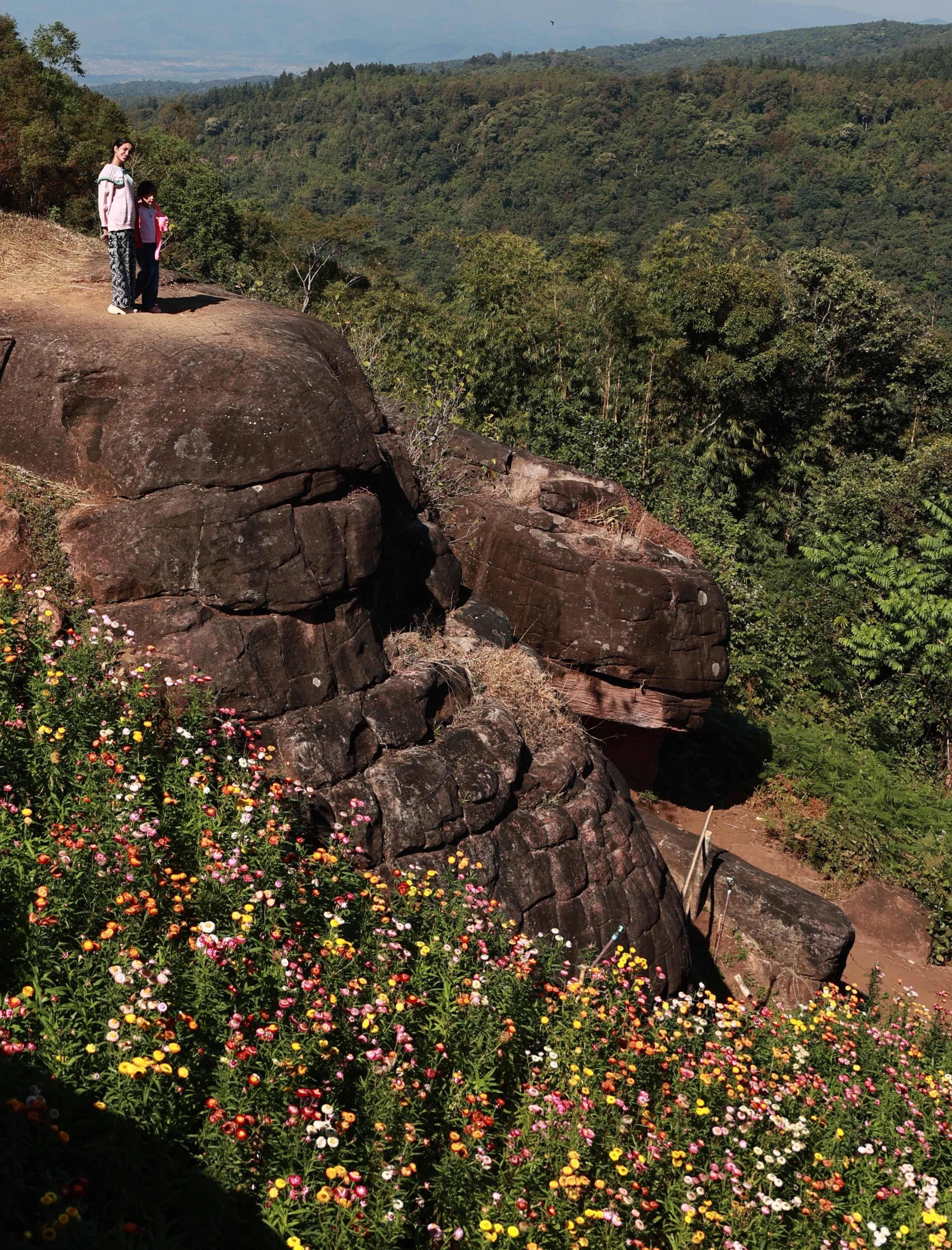 Phu Hin Rong Kla National Park Loei Province (4).jpg