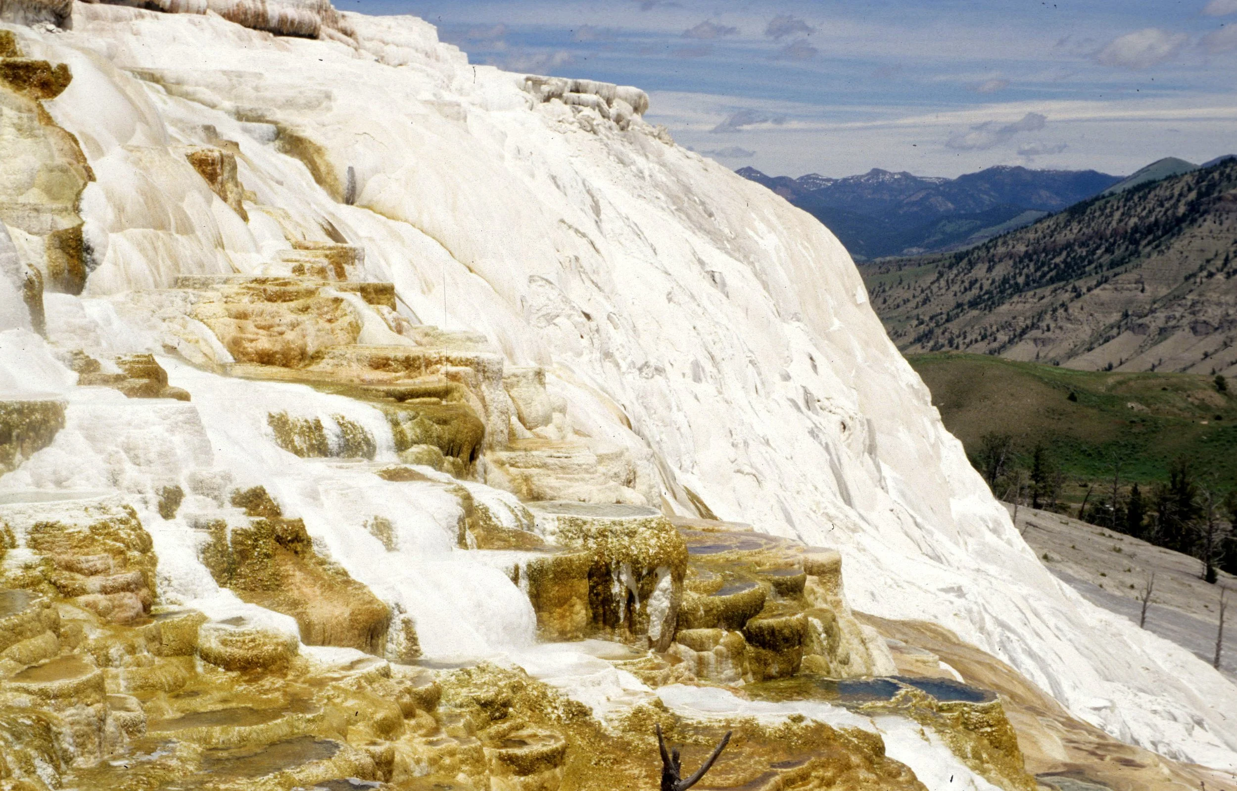 YELLOWSTONE - MAMMOTH HOTSPRINGS E.jpg