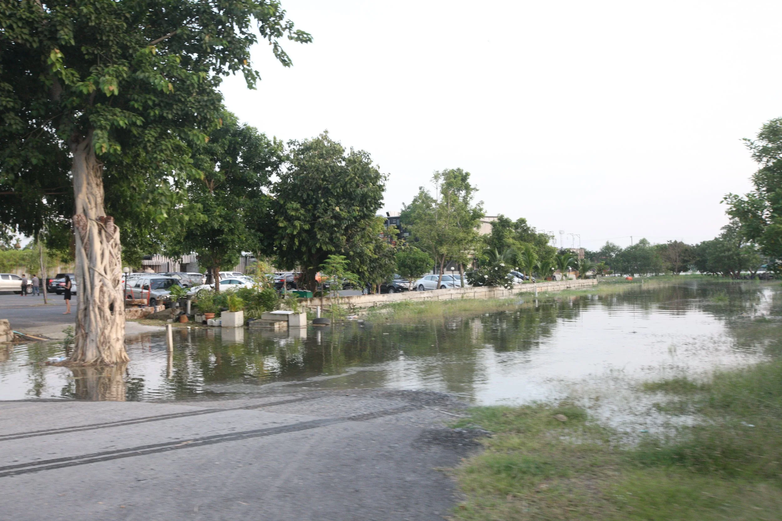 2015 Family scenes in Bangkok (57).JPG