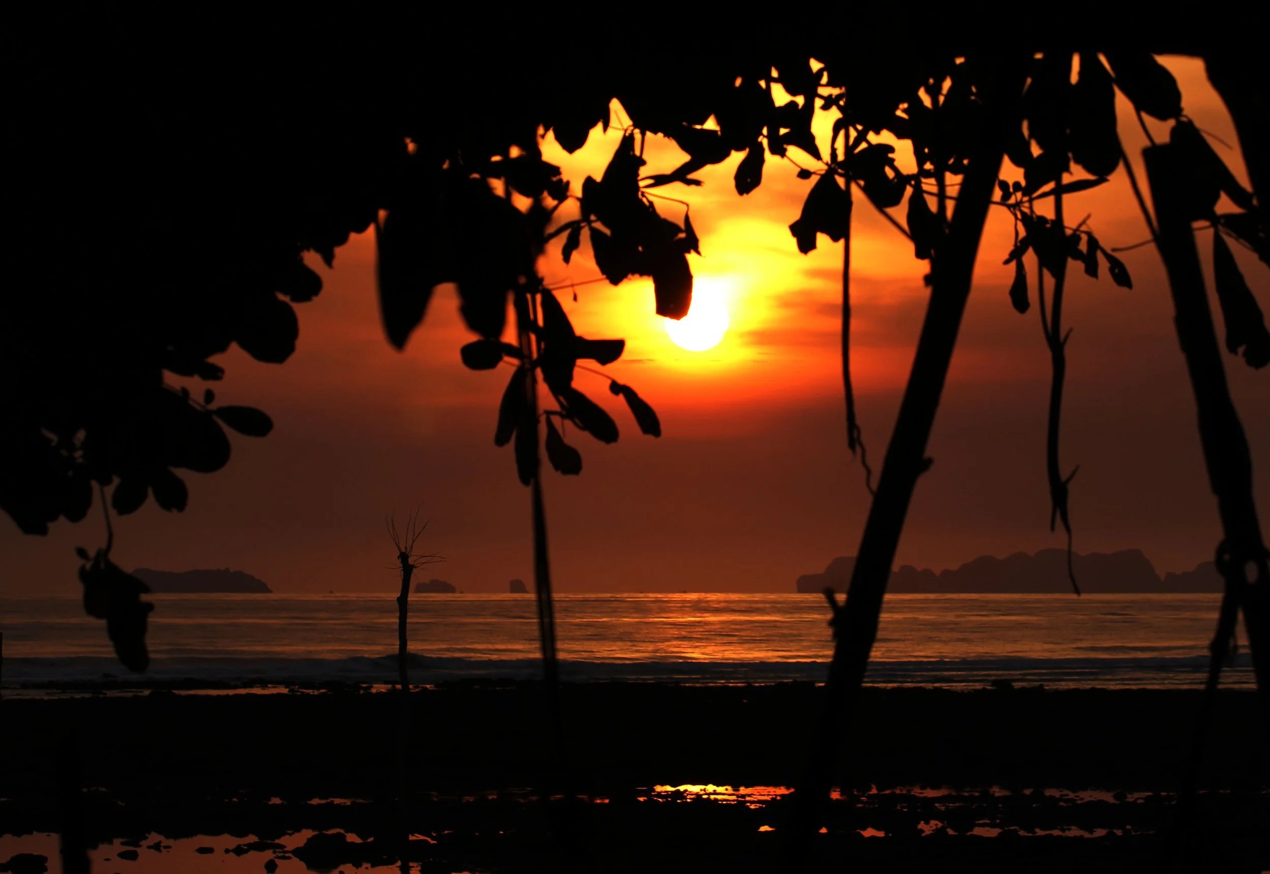 2015 Koh Lanta Summer Misc Images (1103).JPG