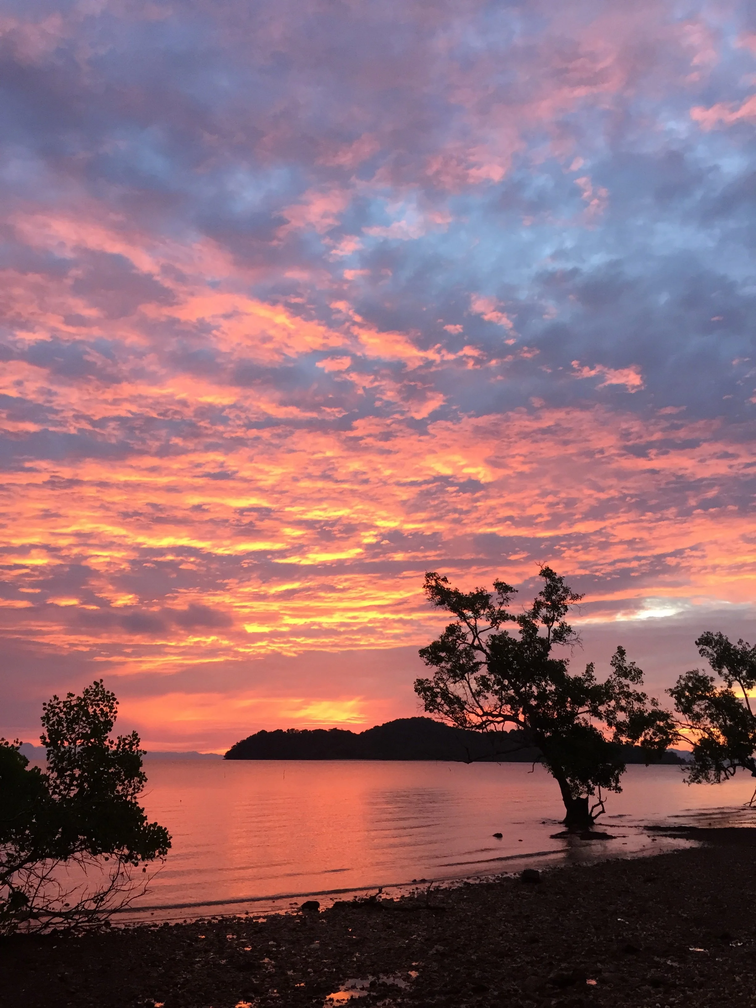 2015 Koh Lanta Garden & Nature (301).jpg