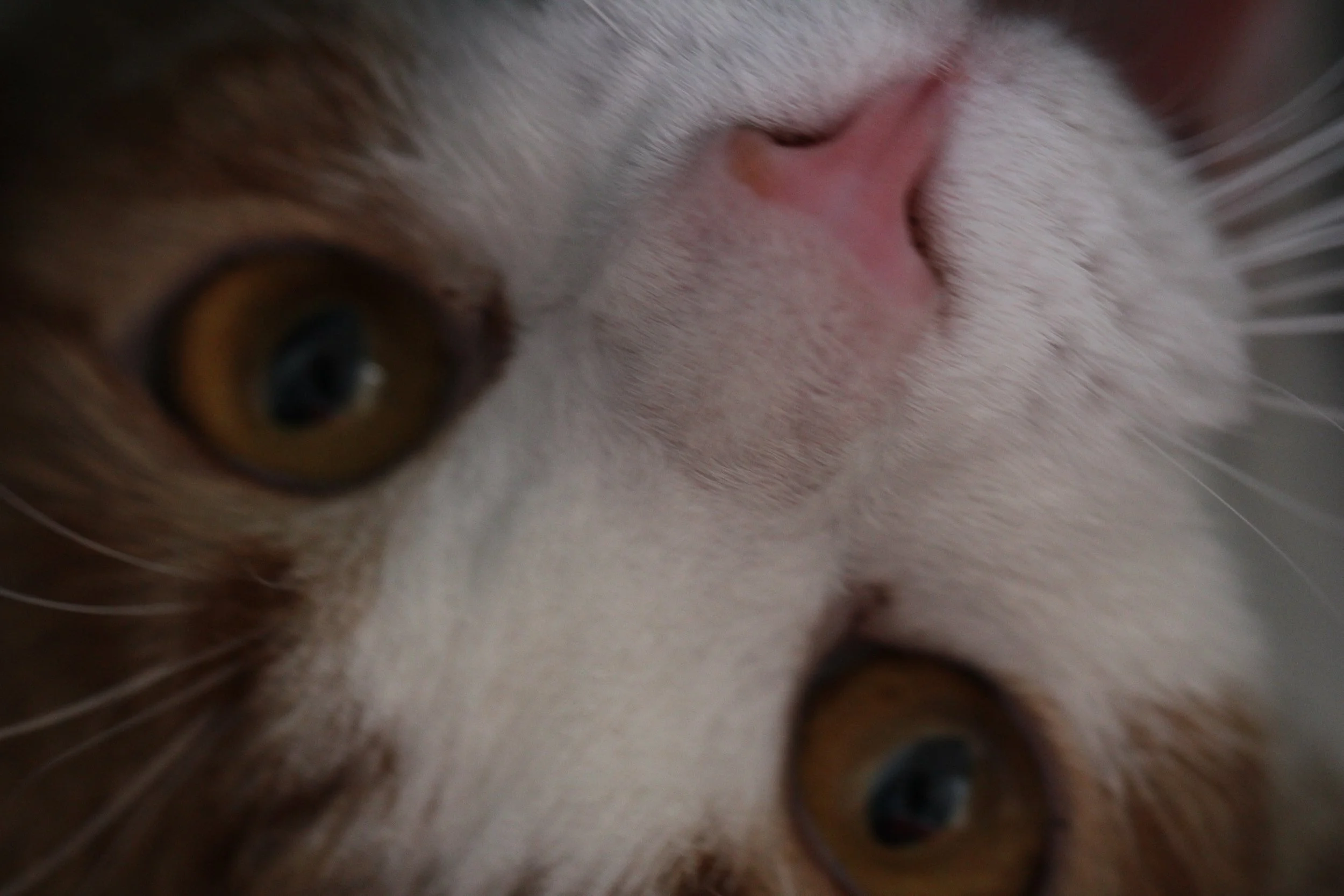 2016 Koh Lanta Summer Trip (348).JPG