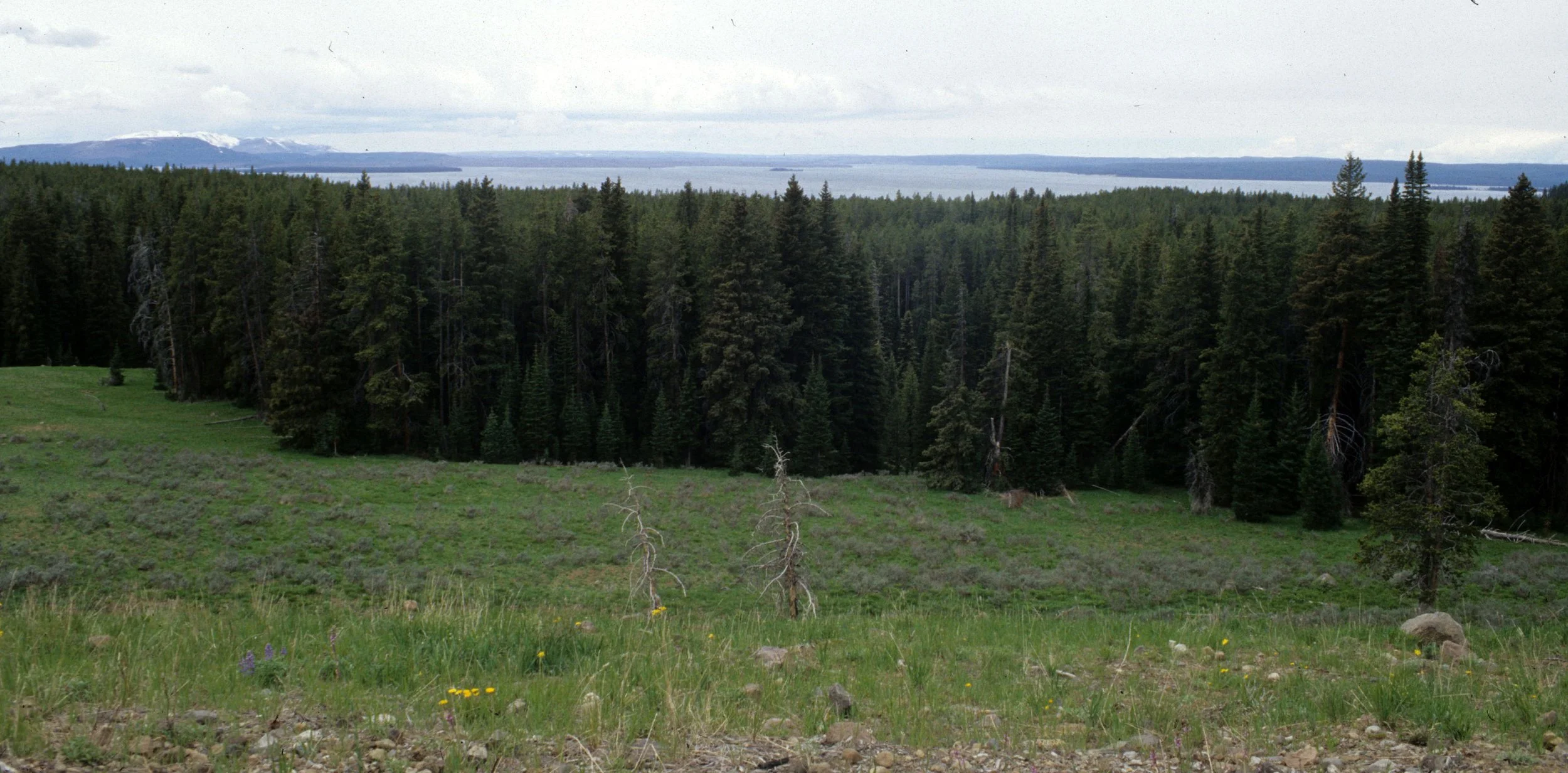 YELLOWSTONE - YELLOWSTONE LAKE.jpg