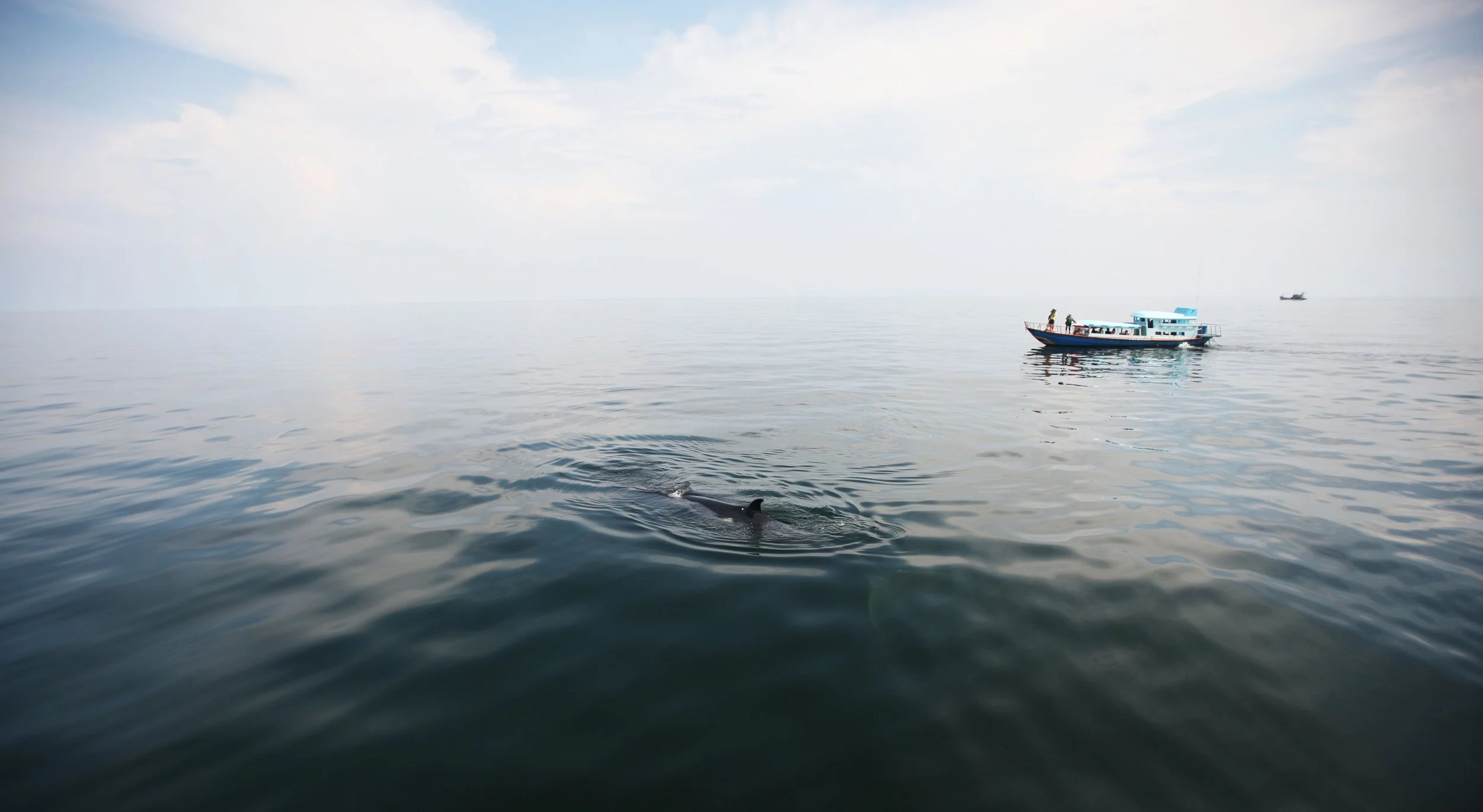 2014 Amphawa Trip to See Whales from Baan Taboon (52).JPG