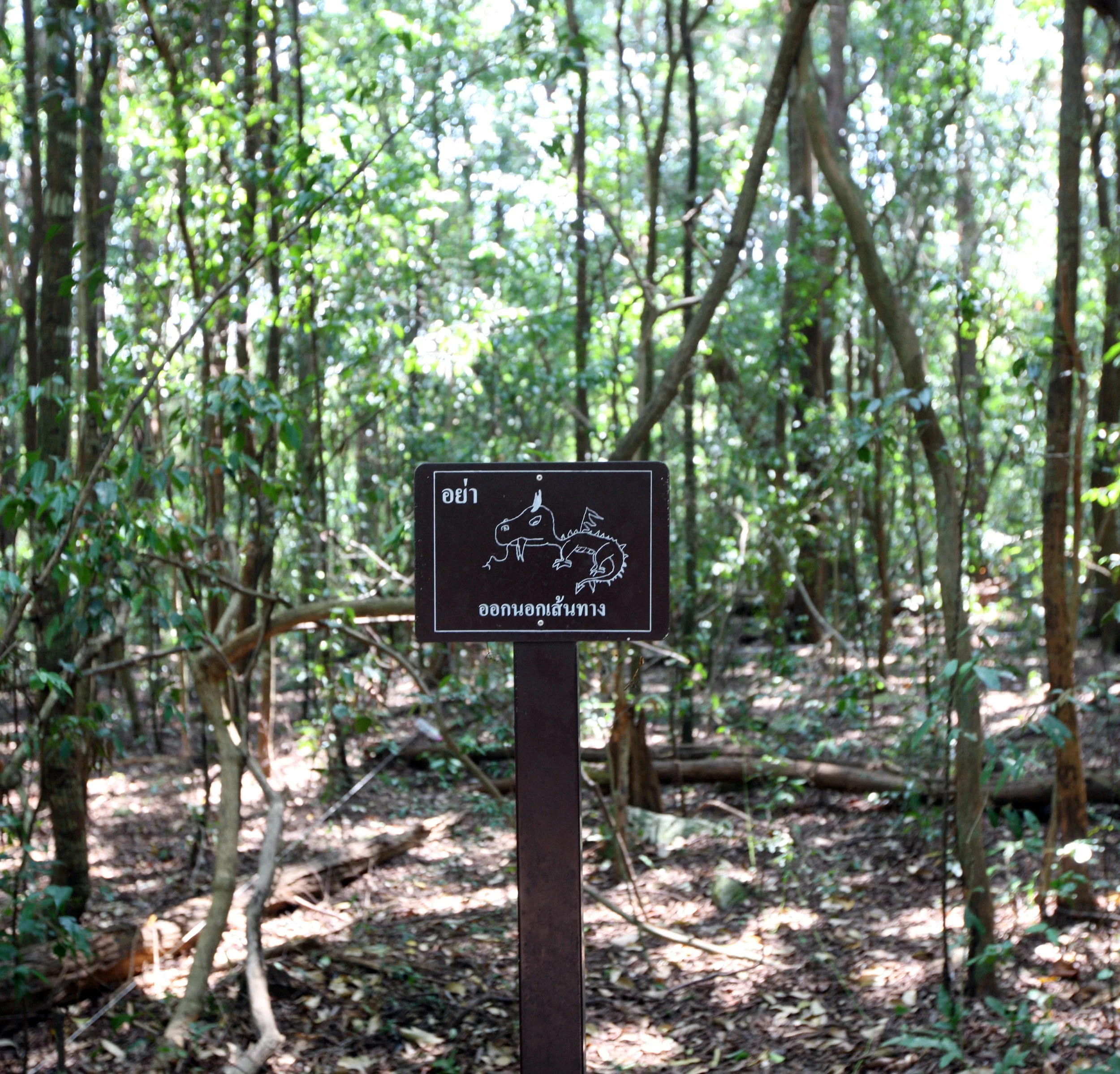 2015 Khao Pang Ma Nonhunting Area (26).JPG