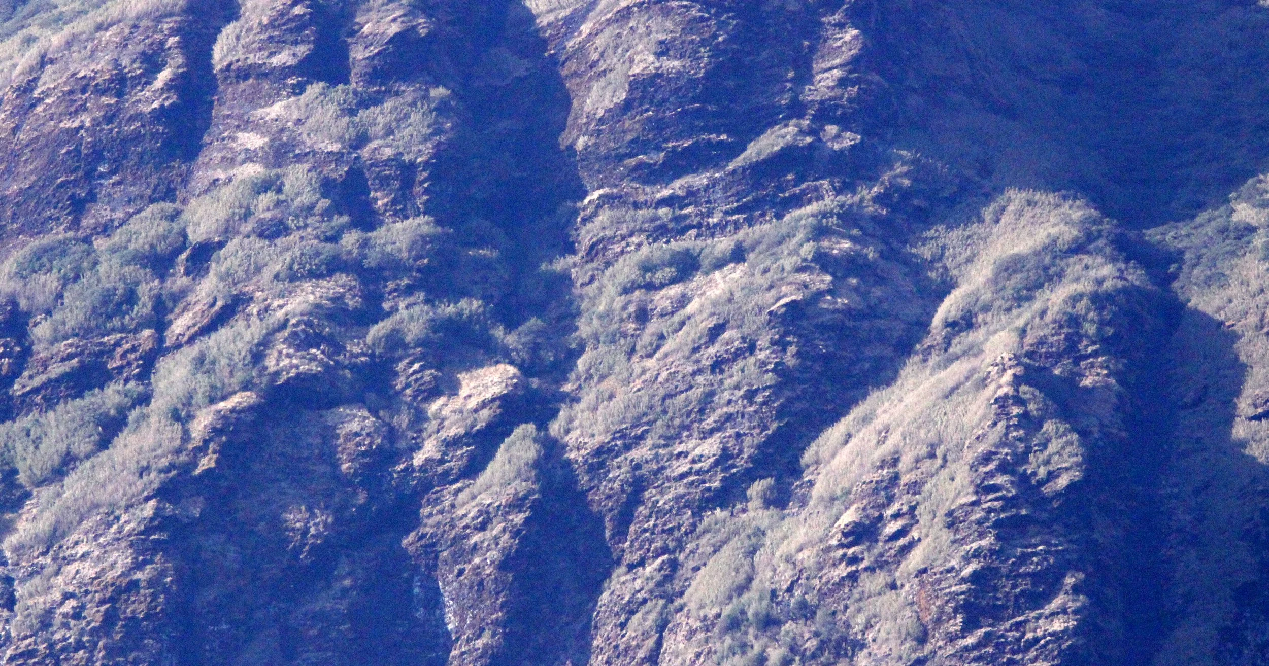 YUNNAN - WULIANGSHAN NATURE RESERVE - CHINA (1).JPG