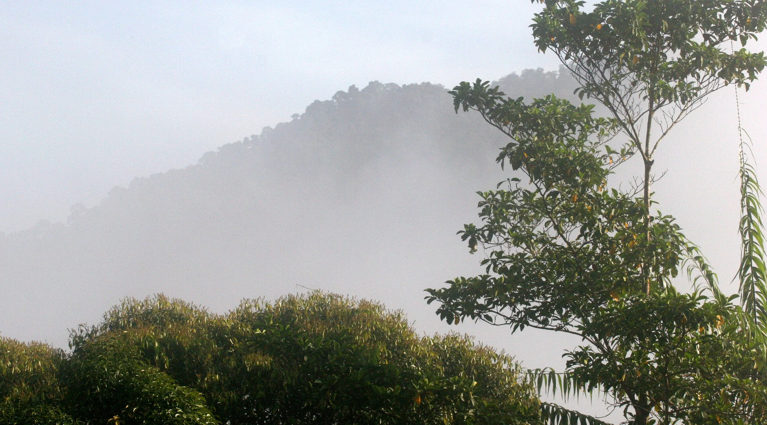 2008 Khao Luang NP Krung Chin Waterfalls Area (2).JPG