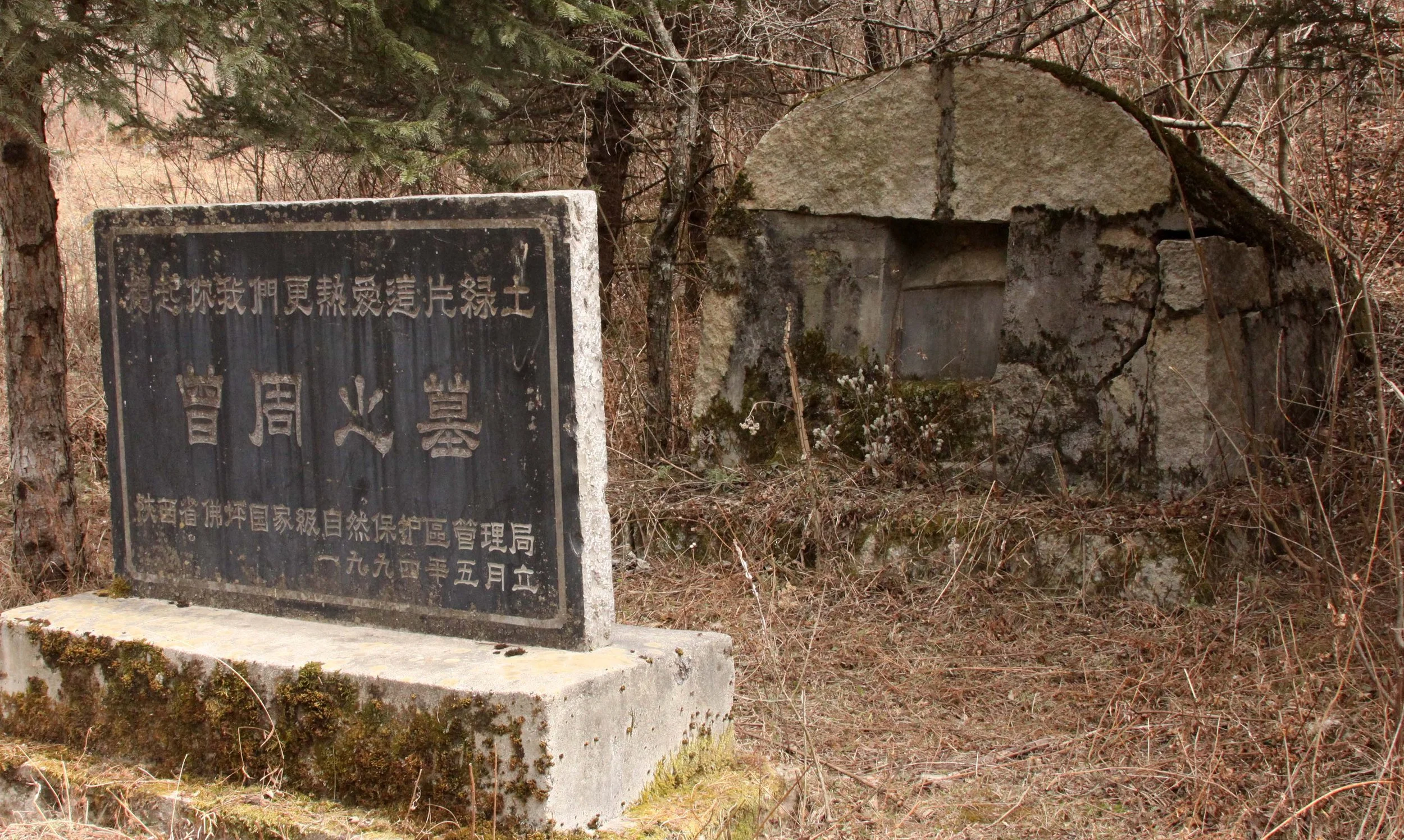 FOPING NATURE RESERVE - SHAANXI PROVINCE CHINA (238).JPG