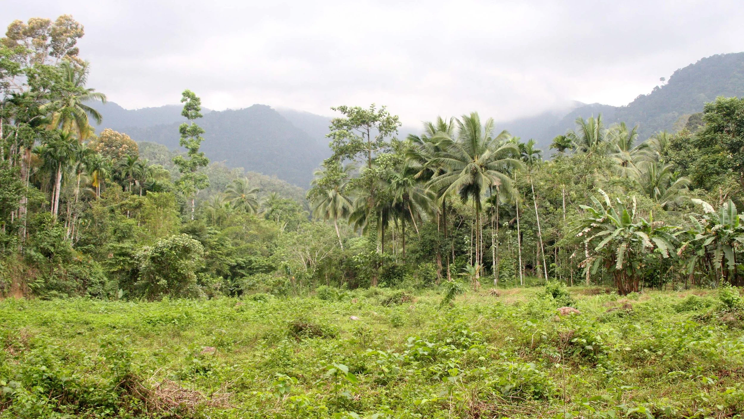 2009 Promluk Property Views (3).JPG