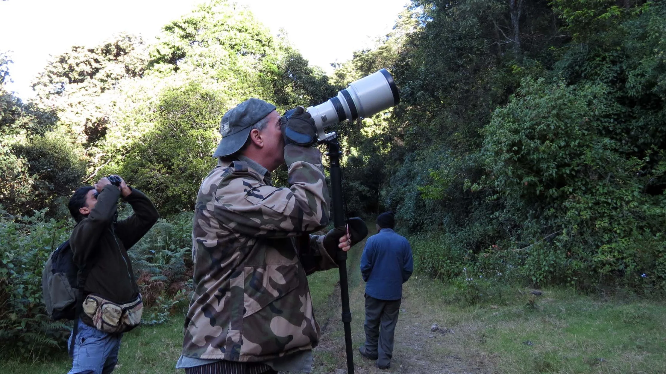 PAMPADUM SHOLA NATIONAL PARK INDIA - VATTAVADA (31).JPG