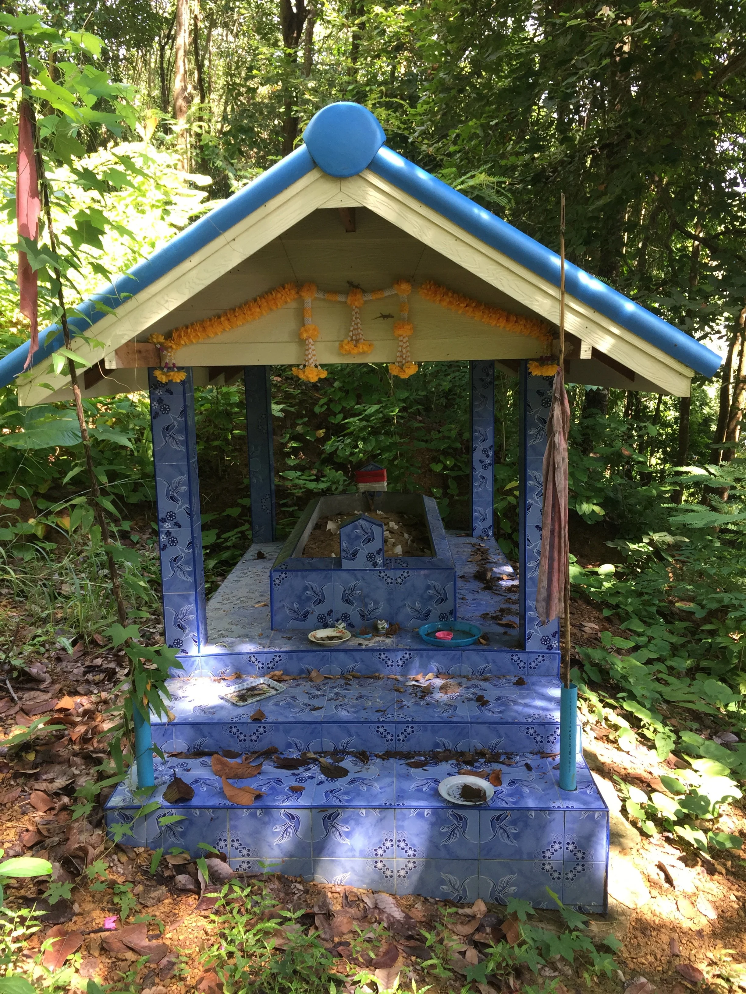 2016 Koh Lanta TheOtherSideVillas - Nature at our Home (117).jpg