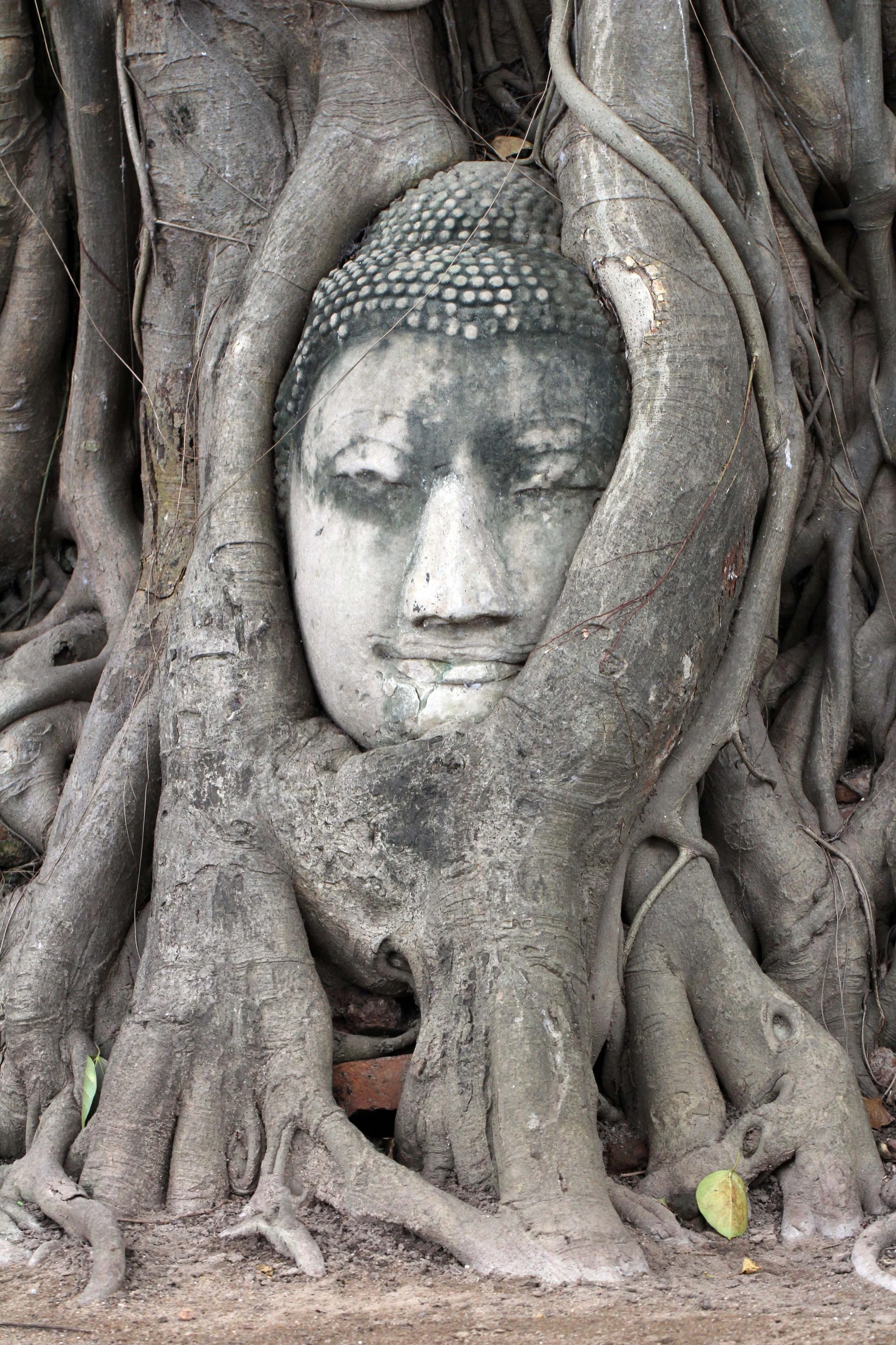 AYUTTHAYA - PASSION DAY - SOM (268).JPG