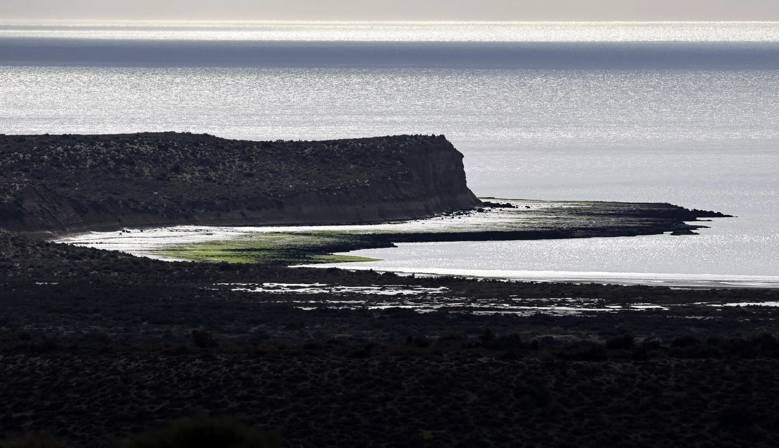 Valdes Peninsula, Chubut Province, Argentina Day 1 (3).jpg