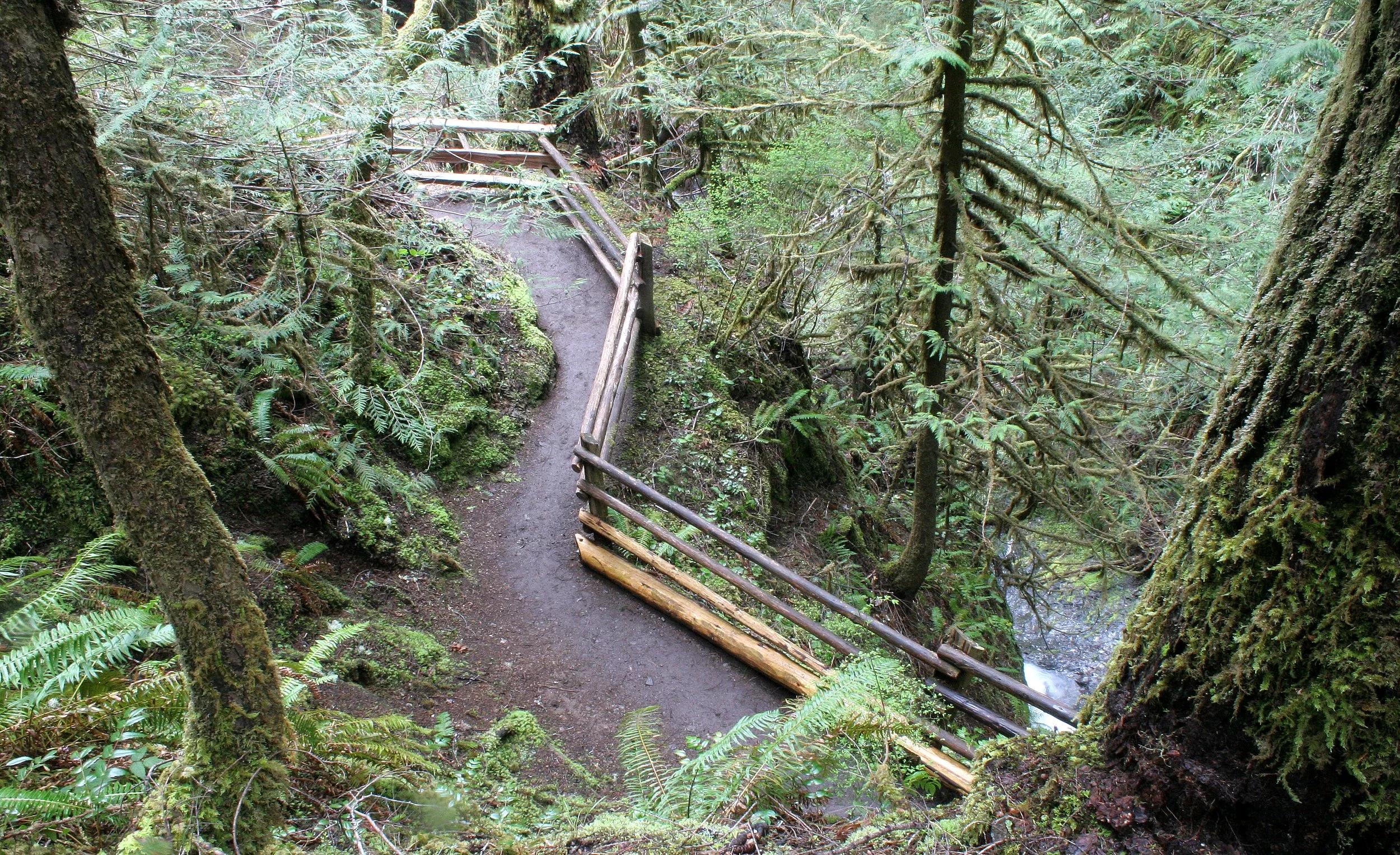 MARYMERE FALLS (20).JPG