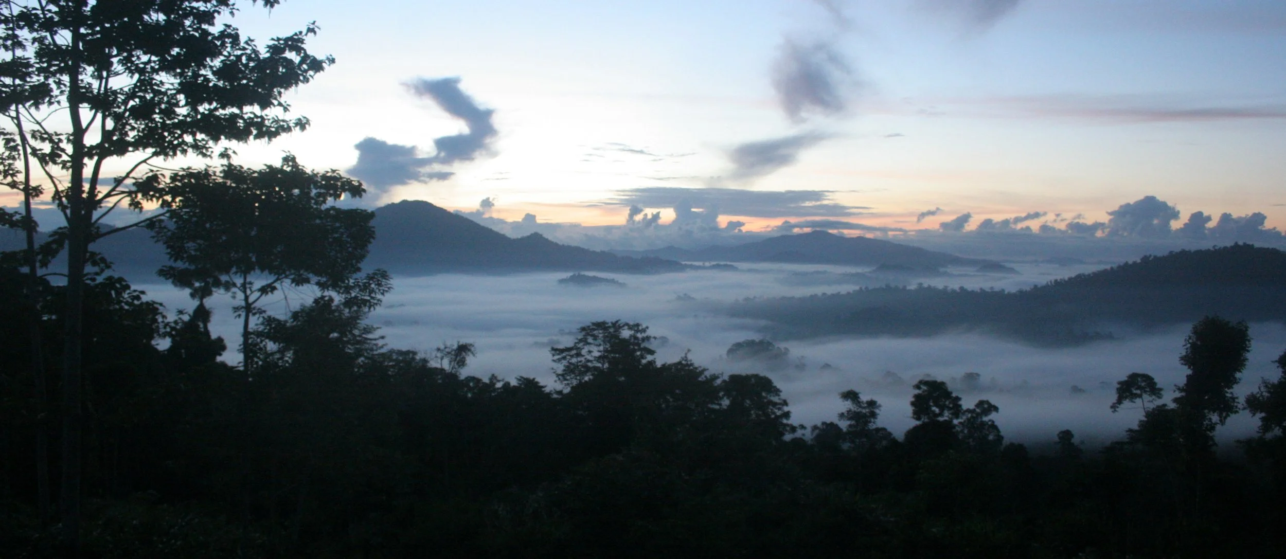 DANUM VALLEY BORNEO - SUNRISE OVER THE DANUM (16).JPG