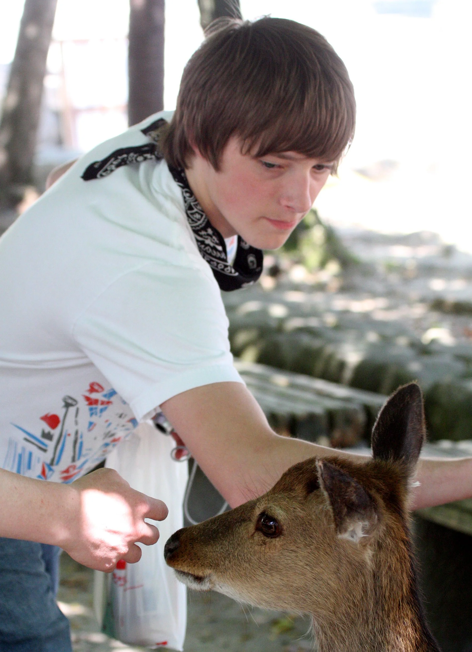 MIYAJIMA - MAY 2009 - SCENES AND LANDSCAPES (57).JPG