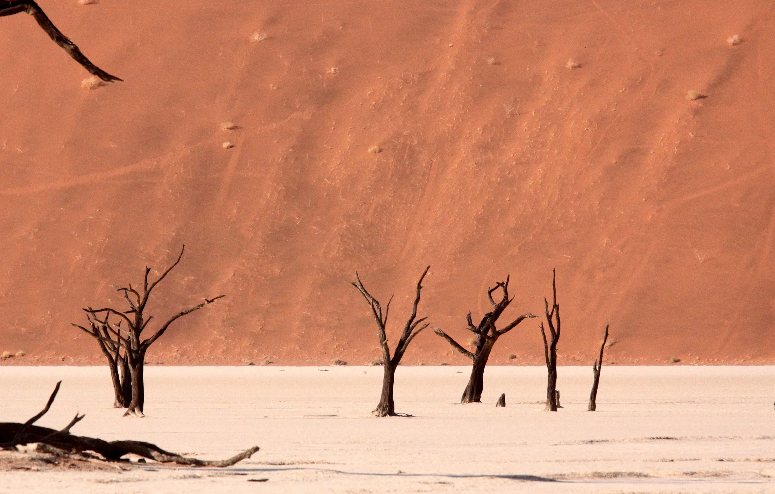 SOSSUSVLEI, NAMIB NAUKLUFT NATIONAL PARK, NAMIBIA - DEAD VLEI (12).JPG