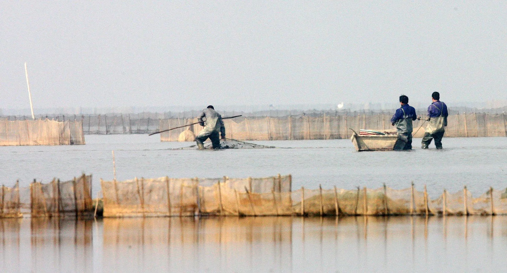 NANJI HILL RESERVE - POYANG LAKE CHINA (3).JPG