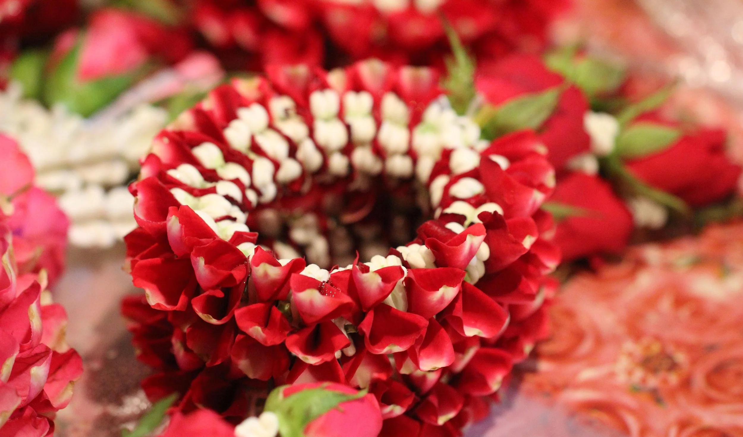 2016 Bangkok Pak Klong Flower Market at 2AM (86).JPG