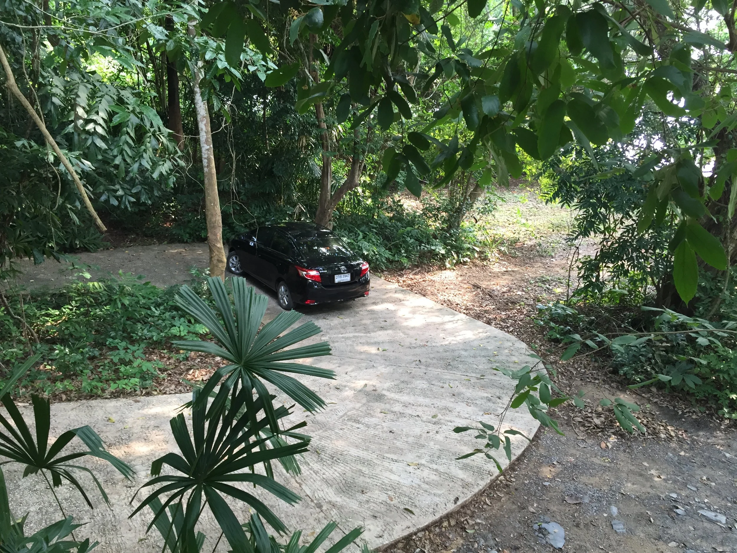 2015 Koh Lanta Garden & Nature (313).JPG