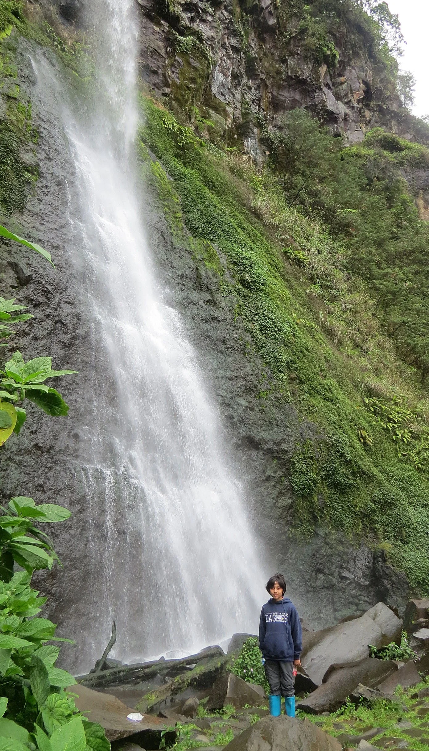 GEDE NATIONAL PARK - JAVA BARAT INDONESIA (13).JPG