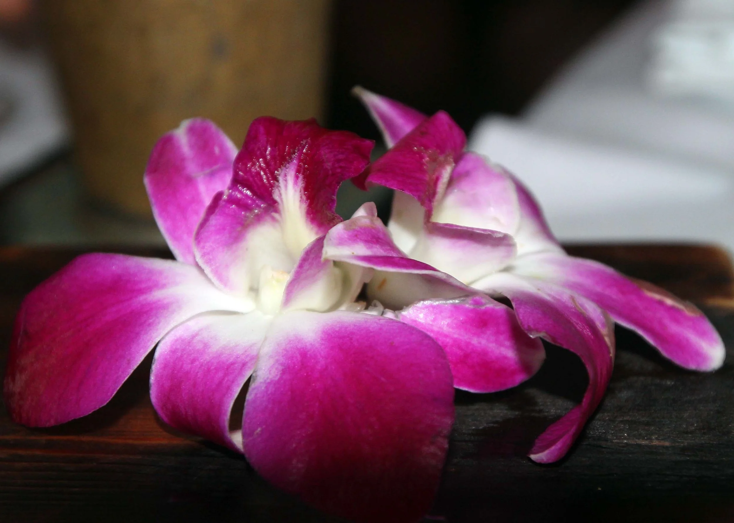 2013 BKK - NIGHT OUT AT ISSAYA WITH FRIENDS (19).JPG