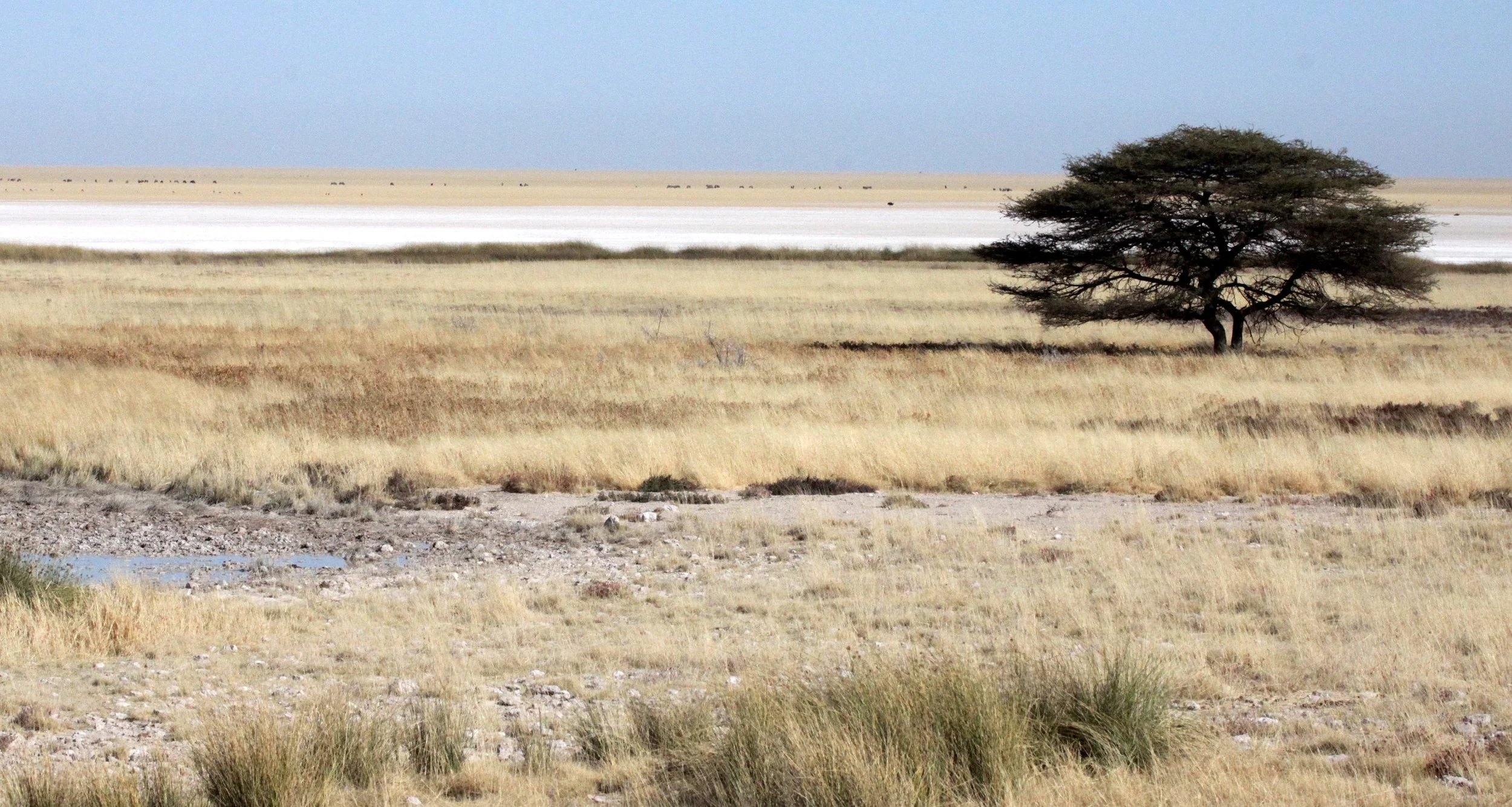 ETOSHA NATIONAL PARK NAMIBIA - ETOSHA PAN (5).JPG