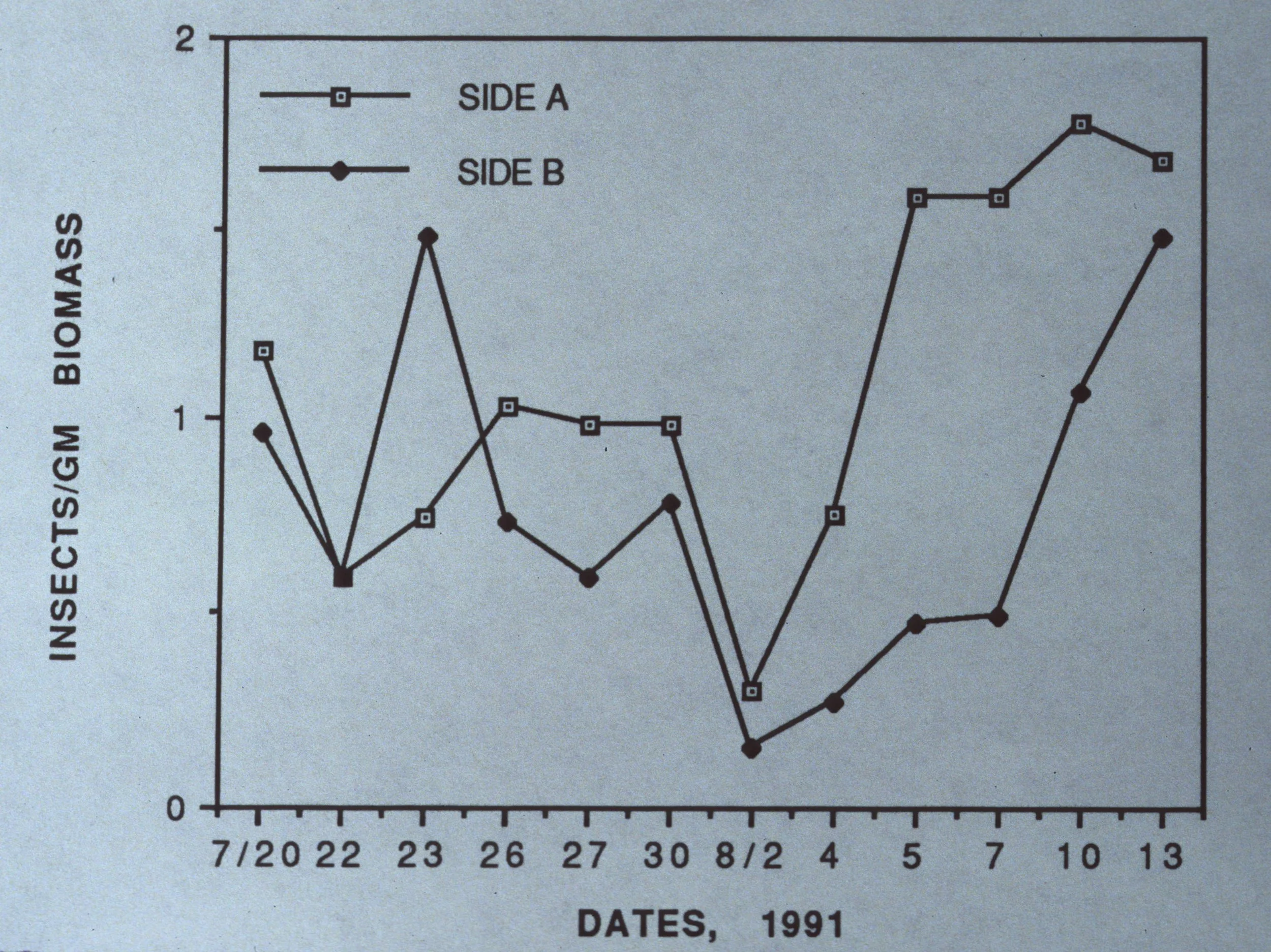 ARIZONA - MADERA CANYON - RESEARCH - RESULTS D.jpg