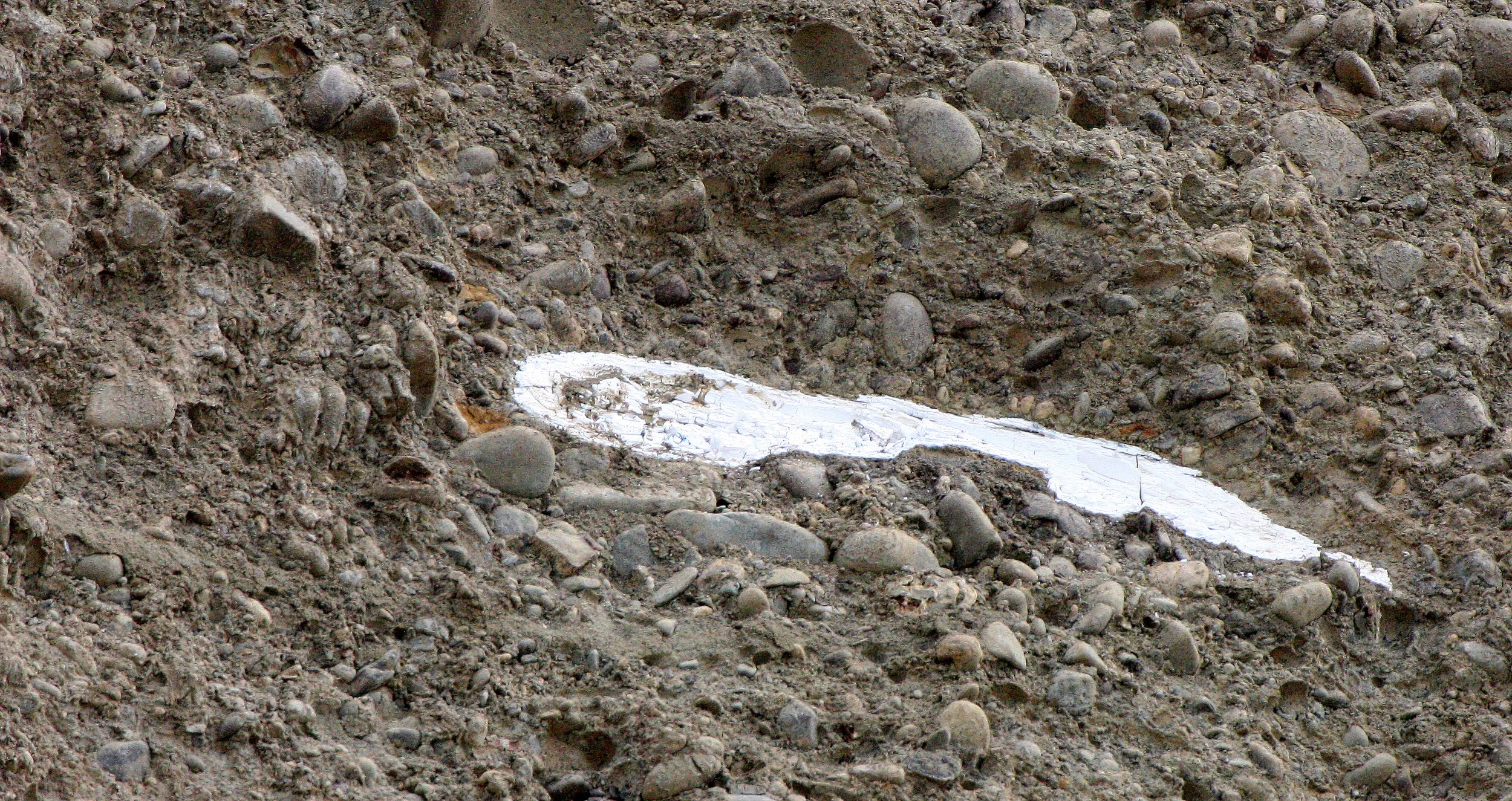 MASTADON TUSK COMING FROM LAKE FARM BLUFFS (4).JPG