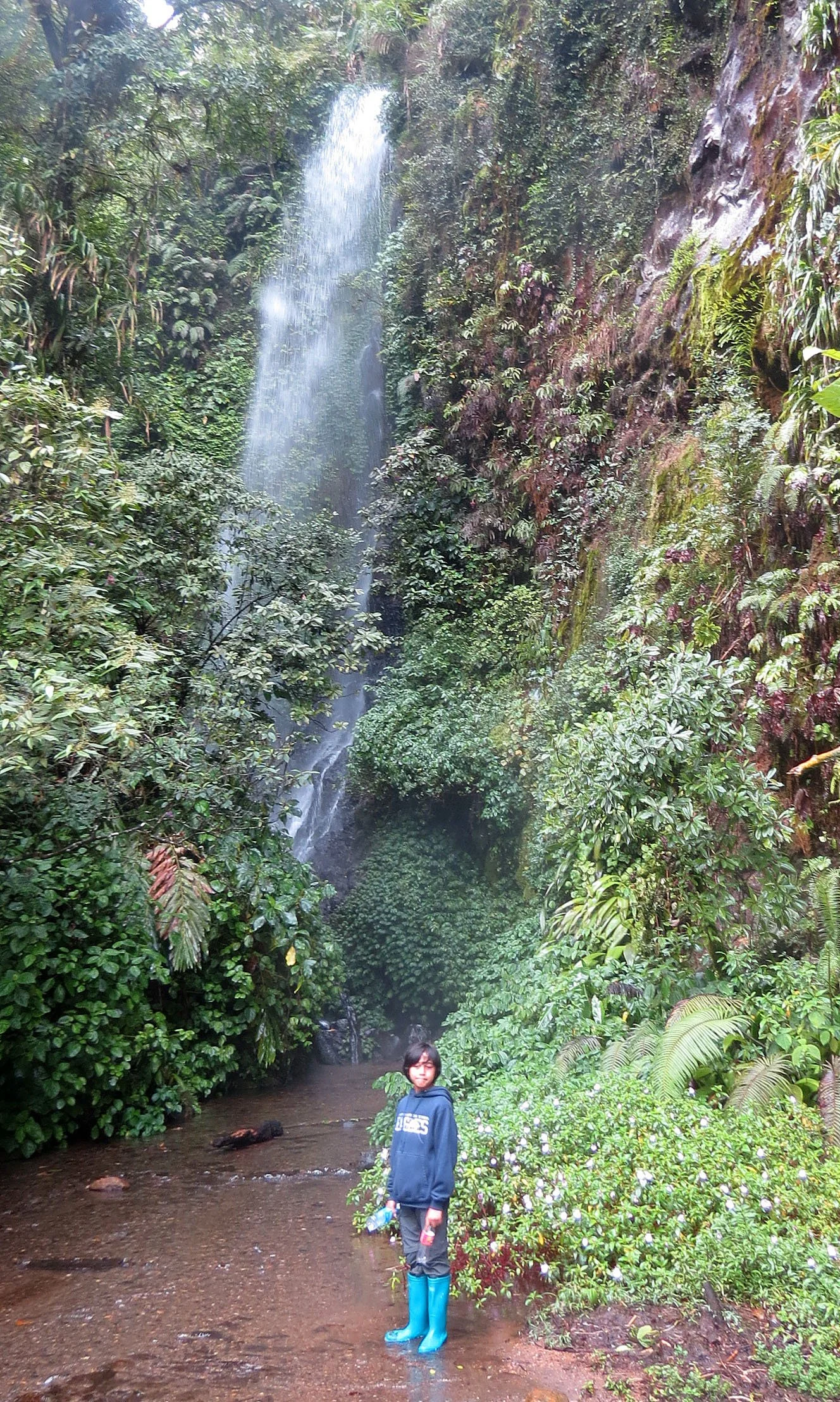GEDE NATIONAL PARK - JAVA BARAT INDONESIA (24).JPG