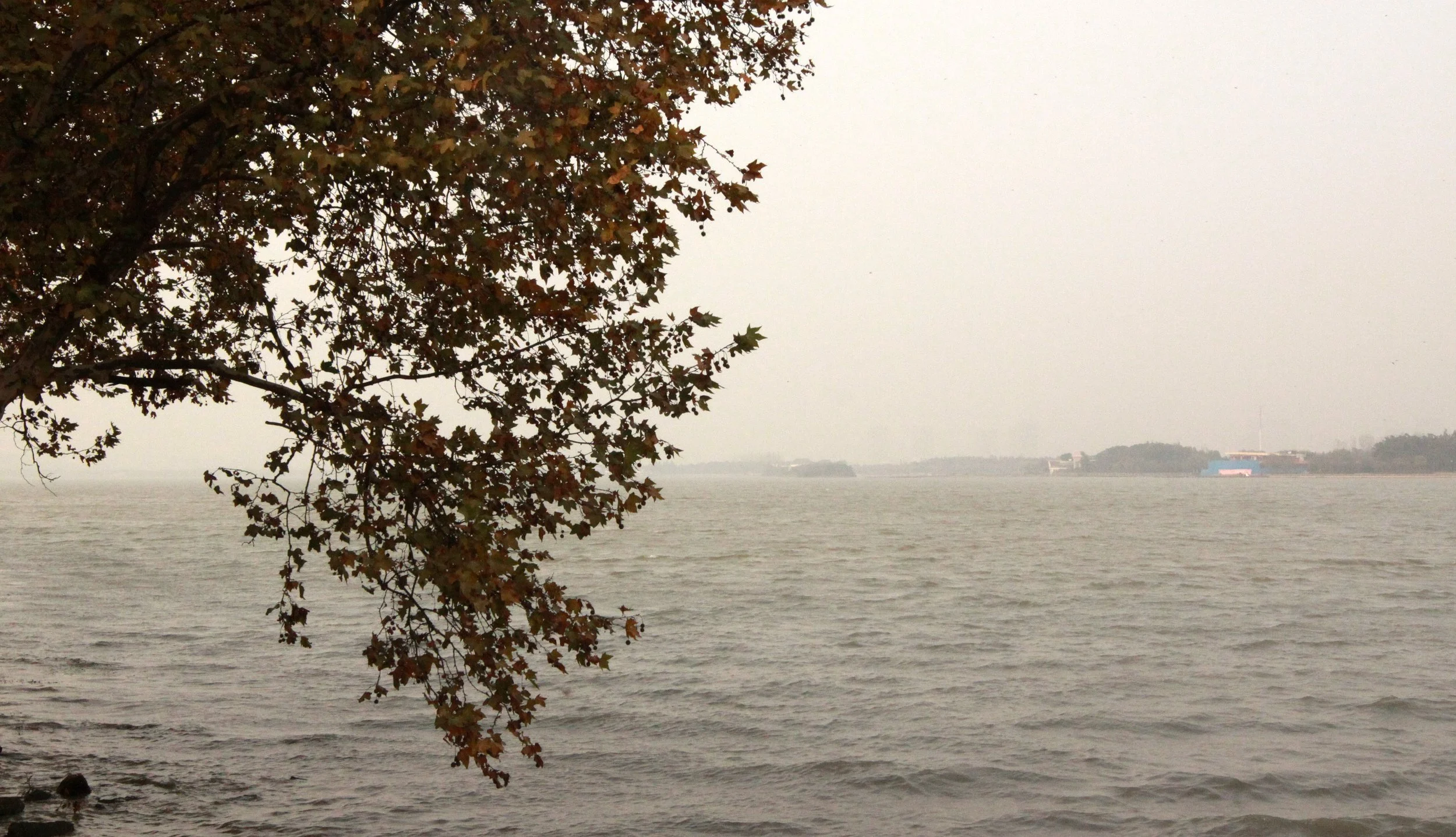 TAI LAKE - WUXI CHINA - ECOSCI FIELD TRIP - NOVEMBER 2011 (2).JPG