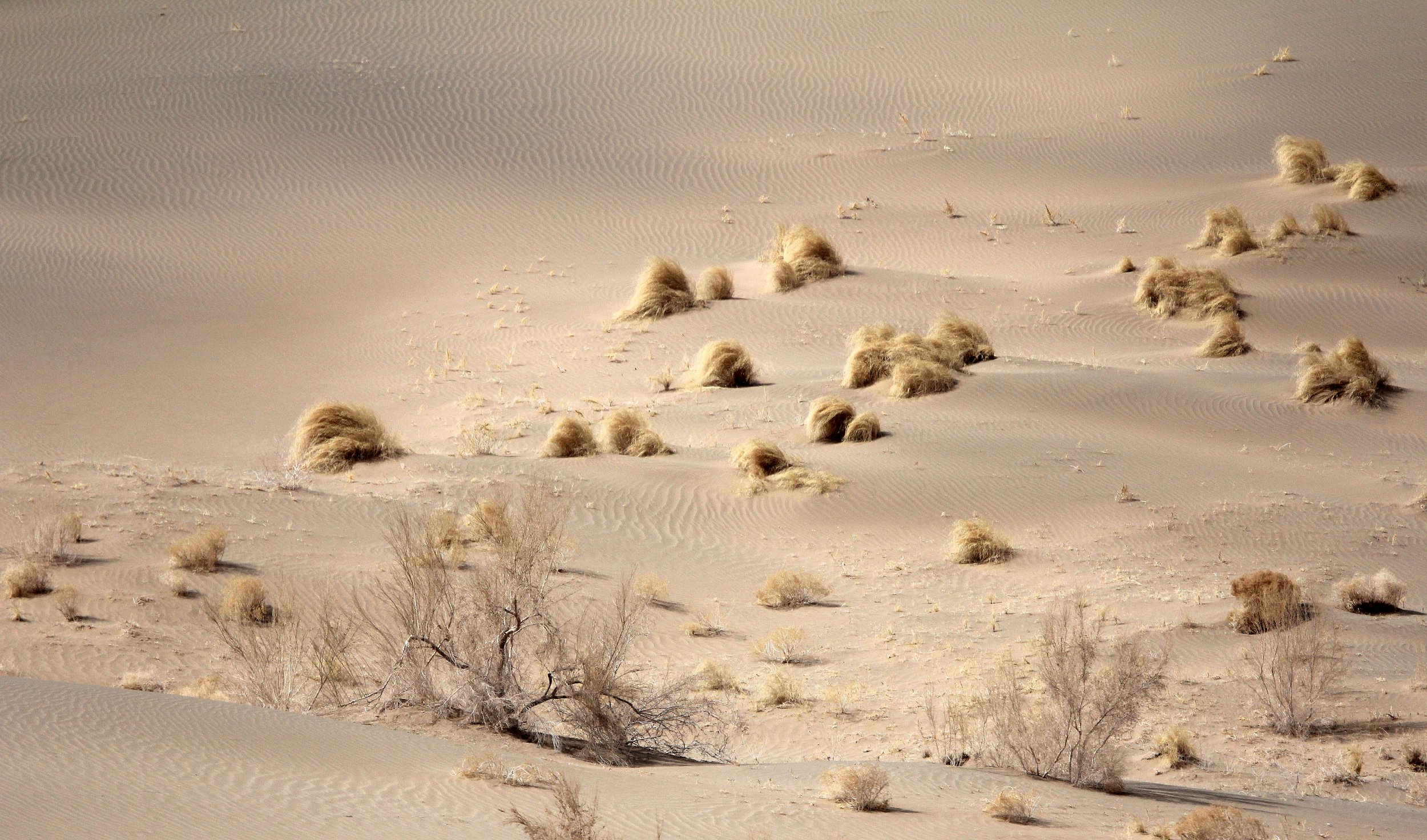 GANSU - DUNES SOUTH OF DUNHUANG - CHINA (43).JPG
