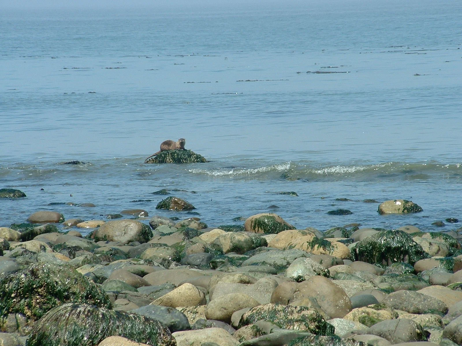 2003-8-1 WASHINGTON VISIT FROM ROBINSONS ET AL (34).JPG