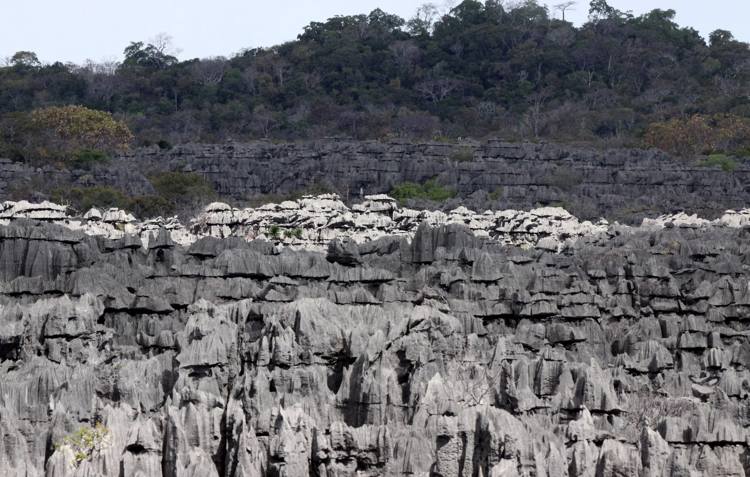 ANKARANA NATIONAL PARK MADAGASCAR - TSINGY FOREST (37).JPG