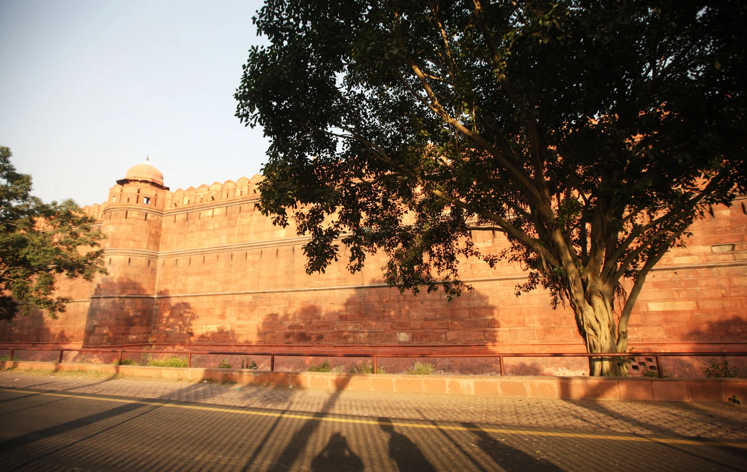 OLD DELHI INDIA - SNOW LEOPARD TRIP 2014 (37).JPG