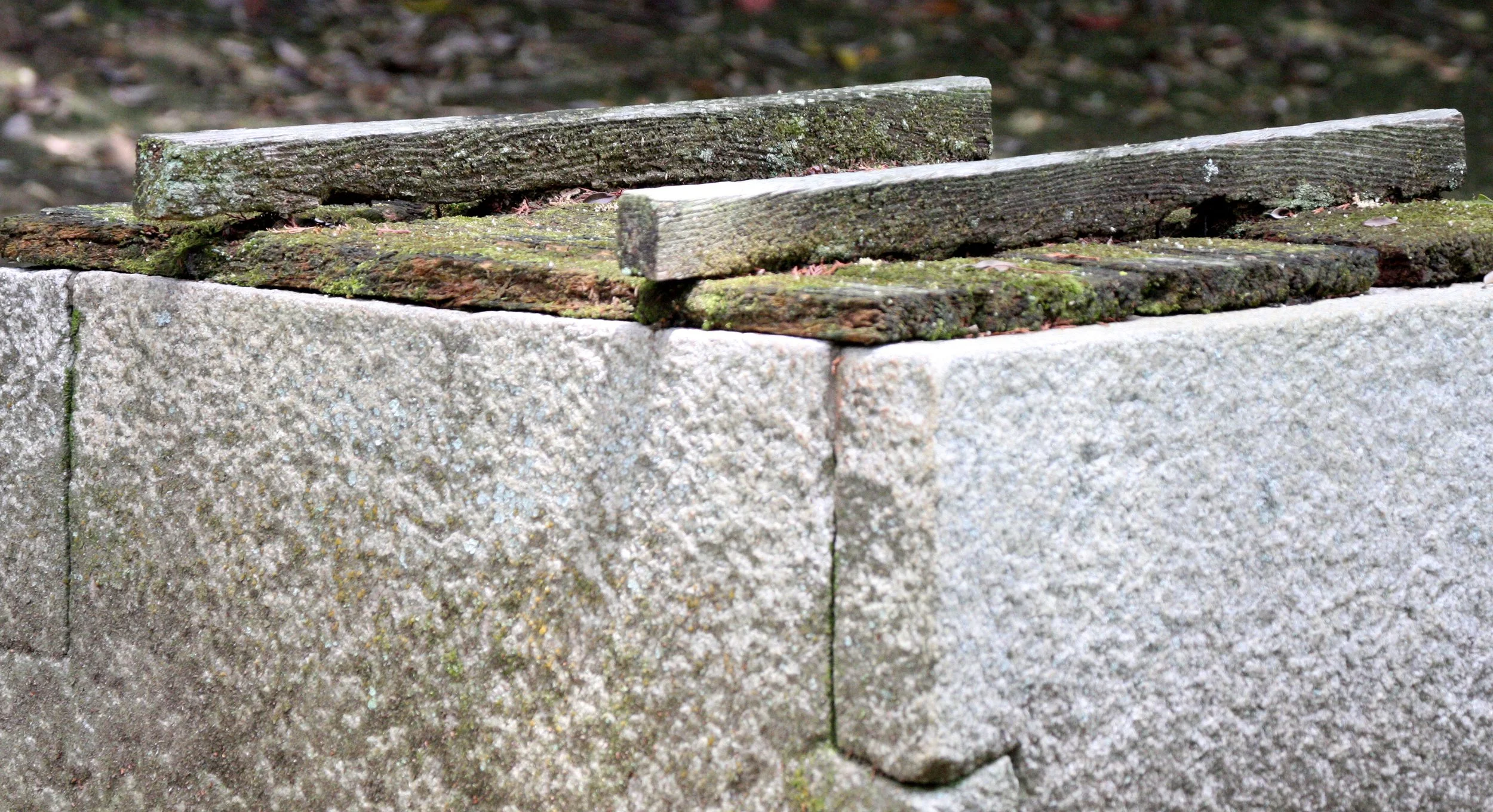 KYOTO - MAY 2009 - KINKAKUJI (45).JPG