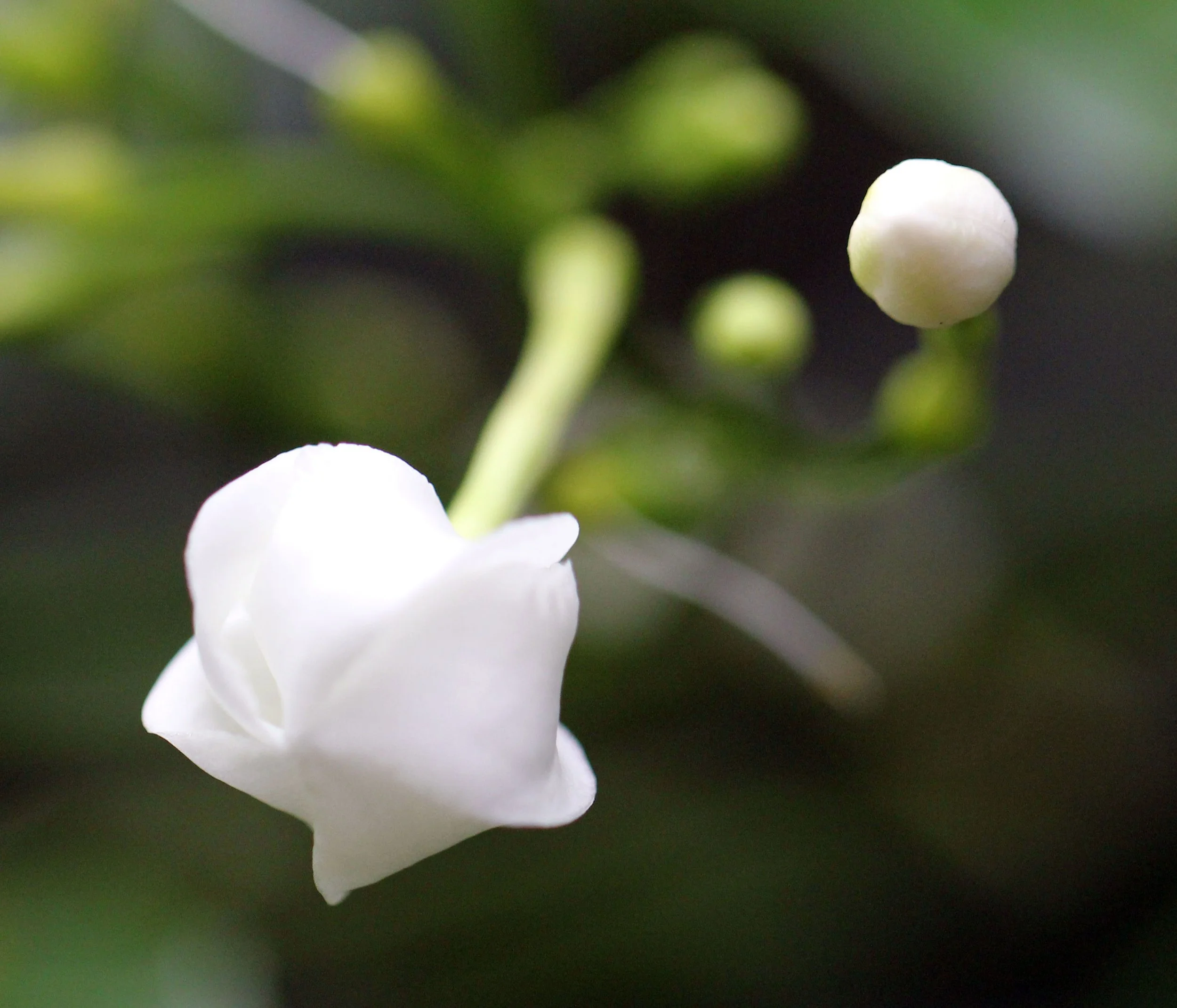 2013 Cha'am and Petchaburi with Family & Friends (1).JPG