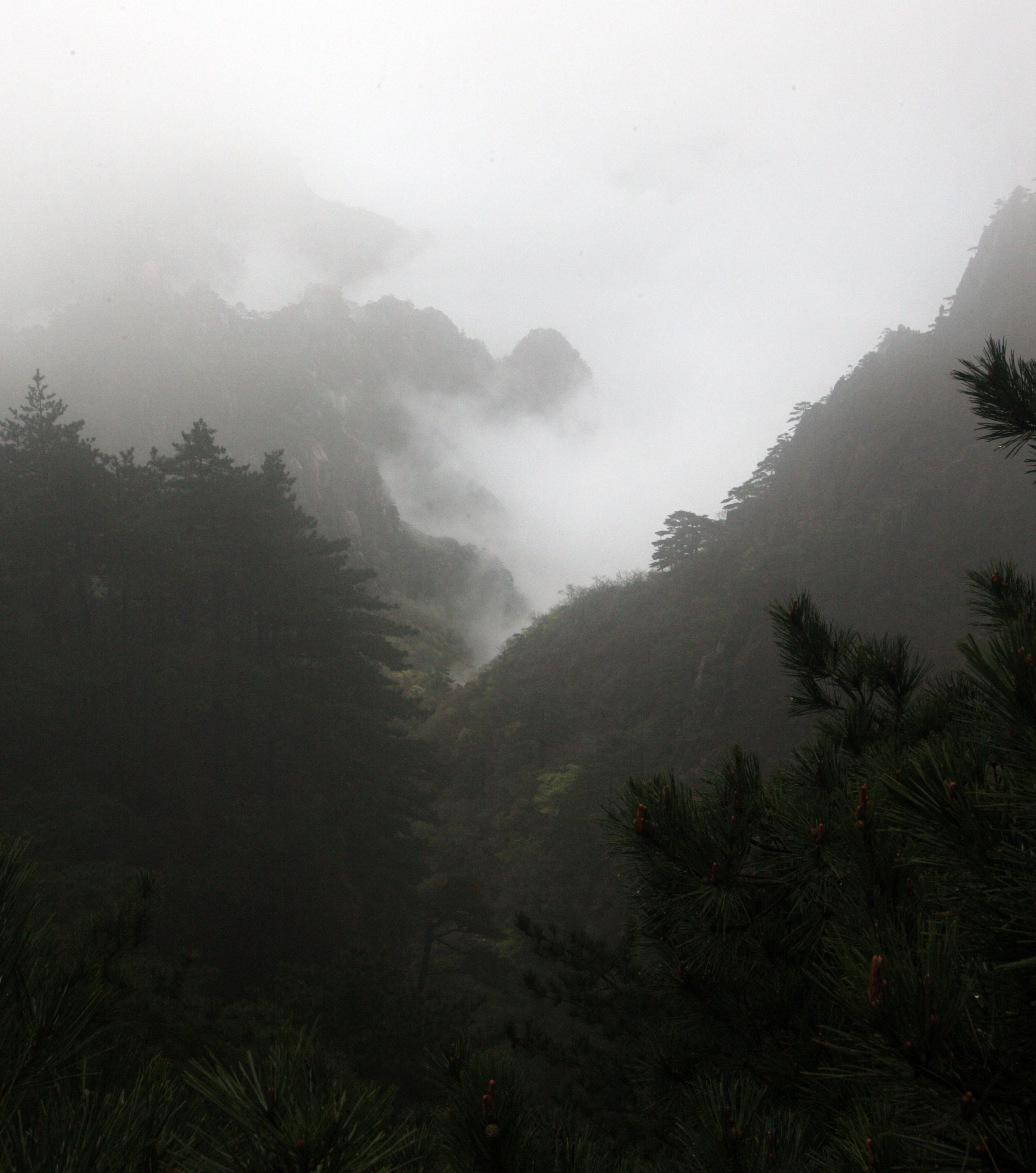 HUANGSHAN NATIONAL PARK ANHUI PROVINCE CHINA (235).JPG