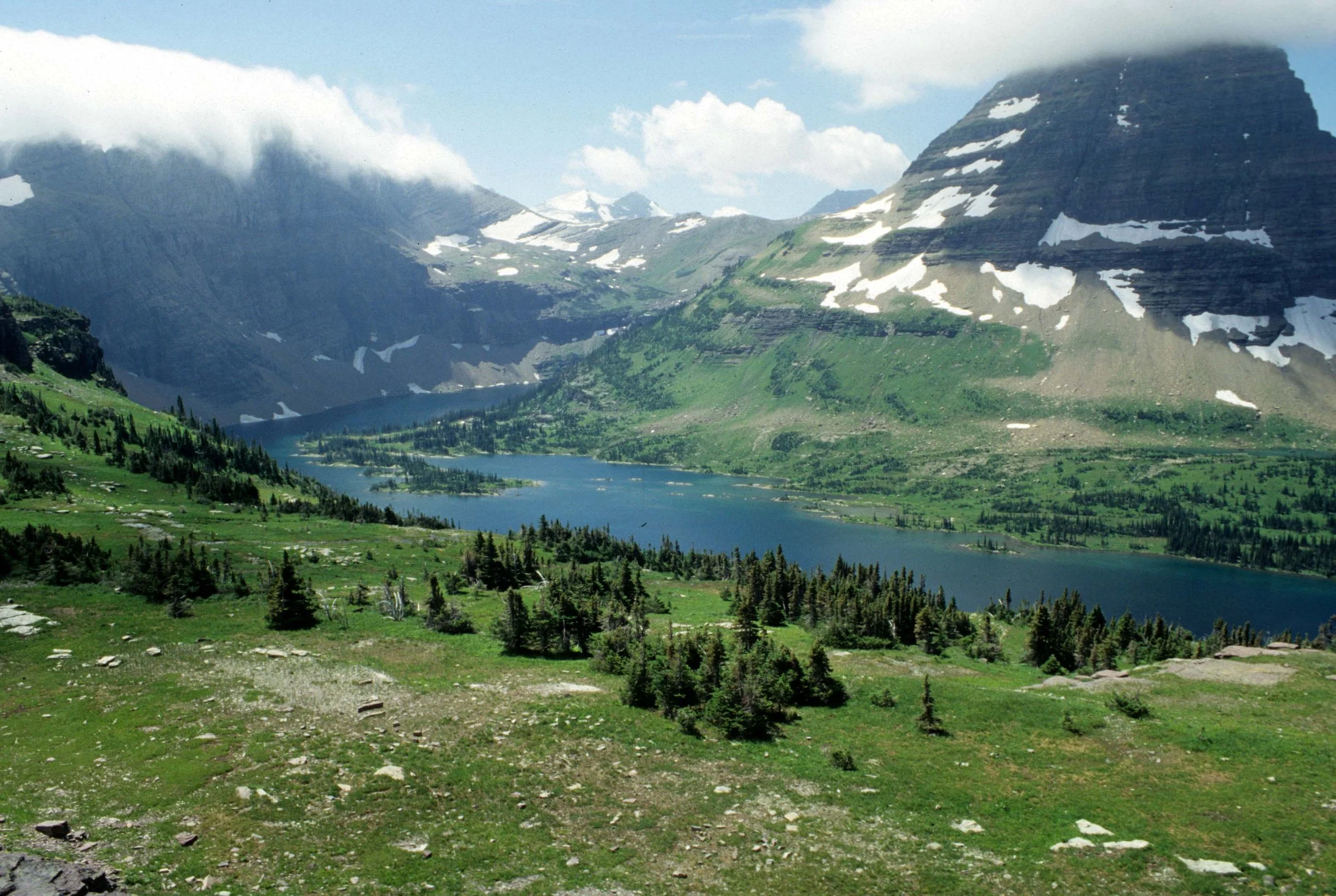 MONTANA - GLACIER - GLACIER NATIONAL PARK VIEWS (5).jpg