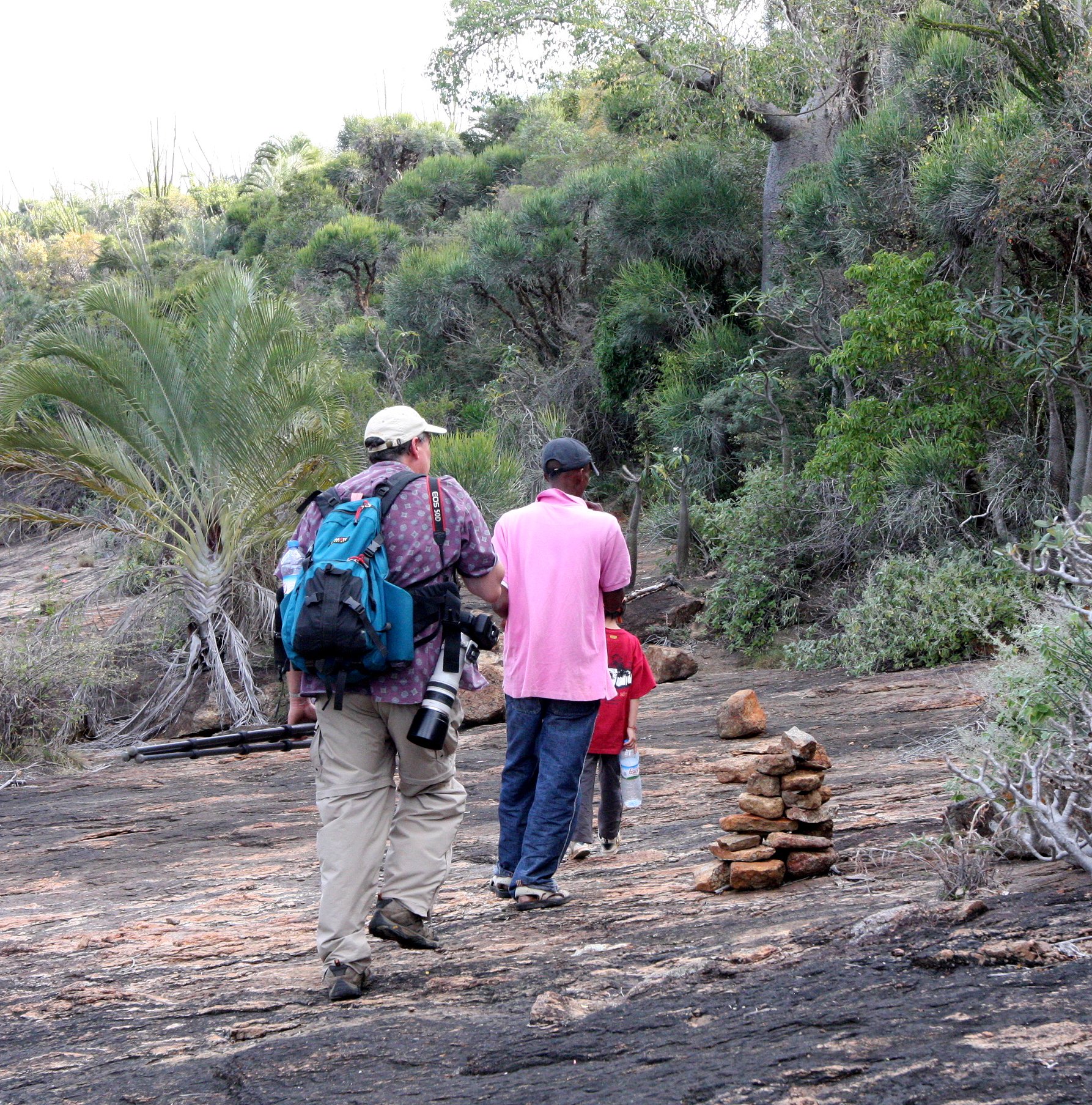 ANDOHAHELA NATIONAL PARK MADGASCAR - TREKKING THE WOODLANDS.JPG
