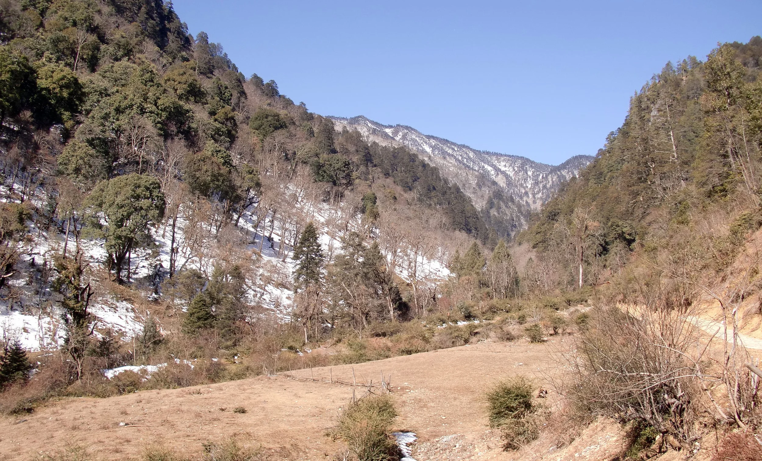 YUNNAN - BAIMA SNOW MOUNTAIN NATURE RESERVE (2).JPG
