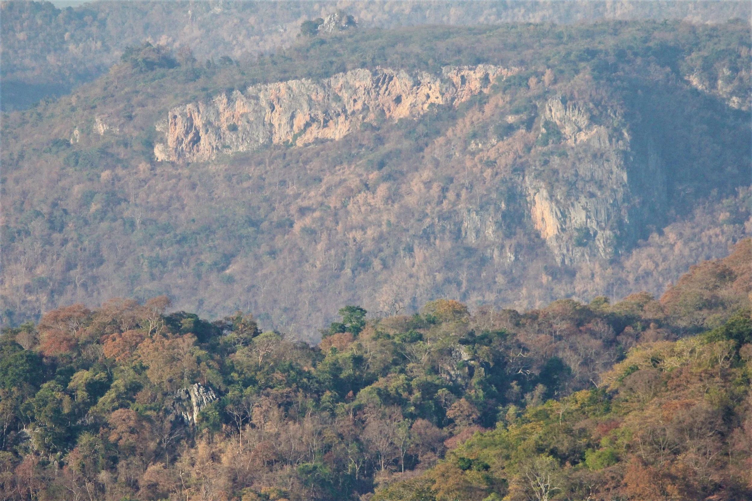 The exposed cliff face is most likely rhyolite or another type of igneous rock.