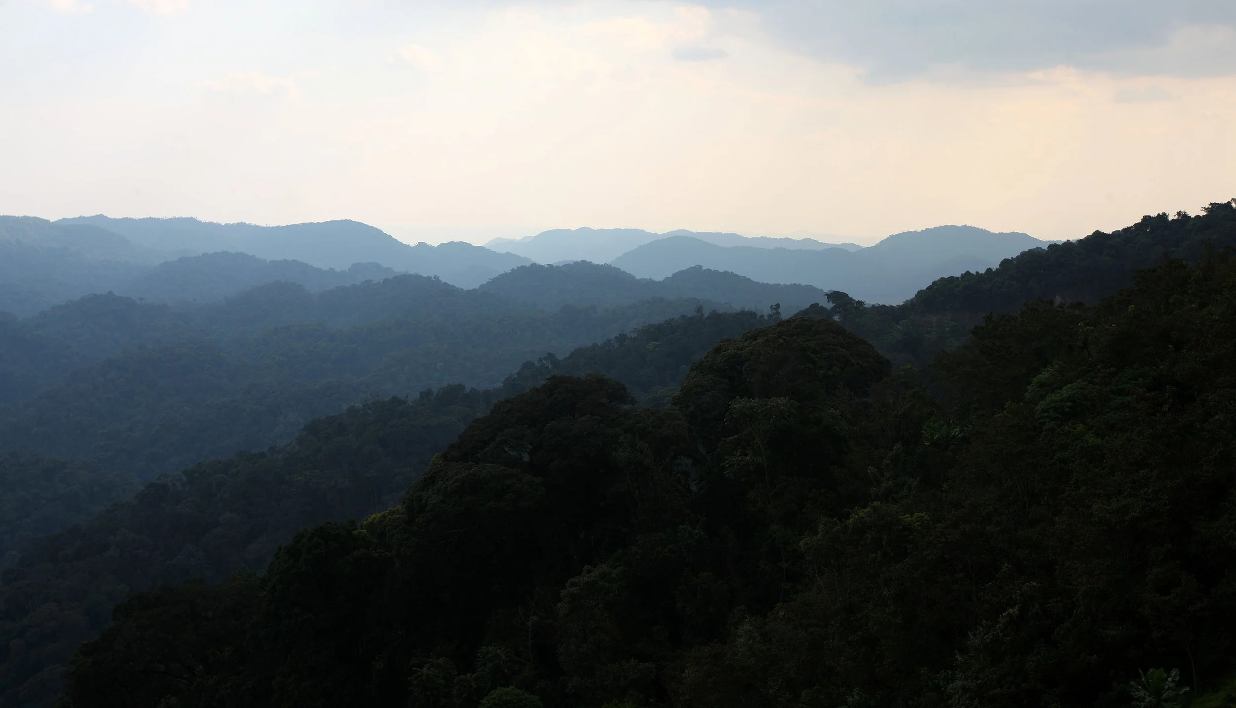 NYUNGWE NATIONAL PARK RWANDA 2 (26).JPG
