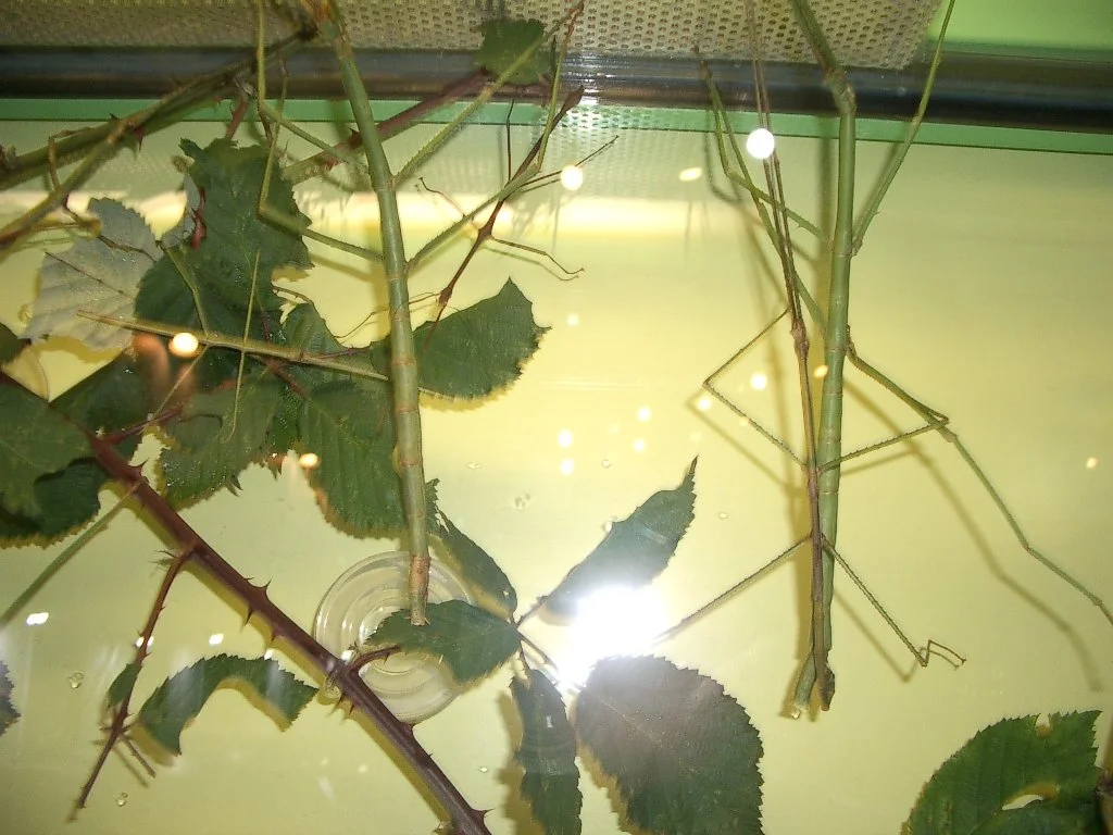 Seattle Science Museum