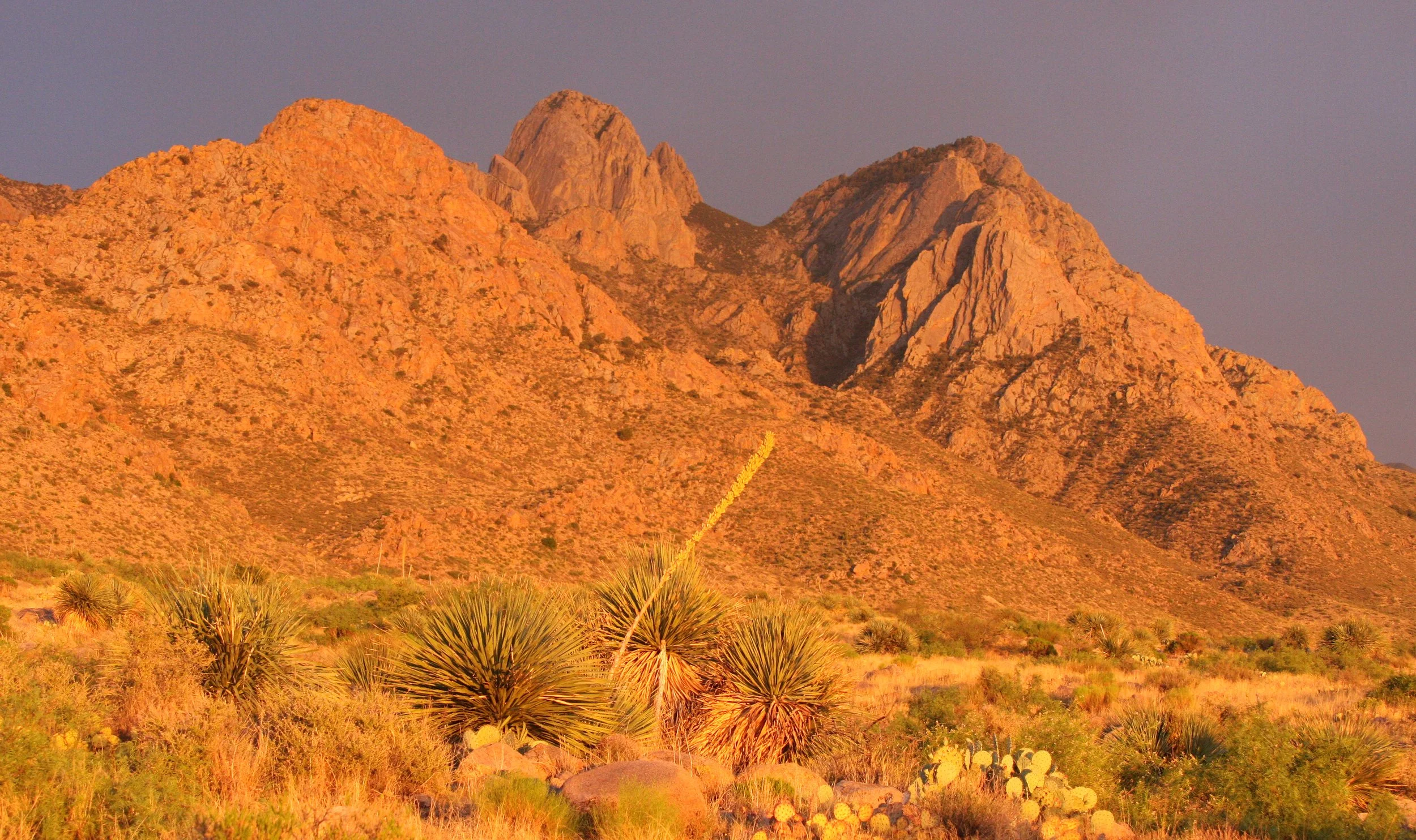 LAS CRUCES NEW MEXICO - ORGAN MOUNTAINS (15).JPG