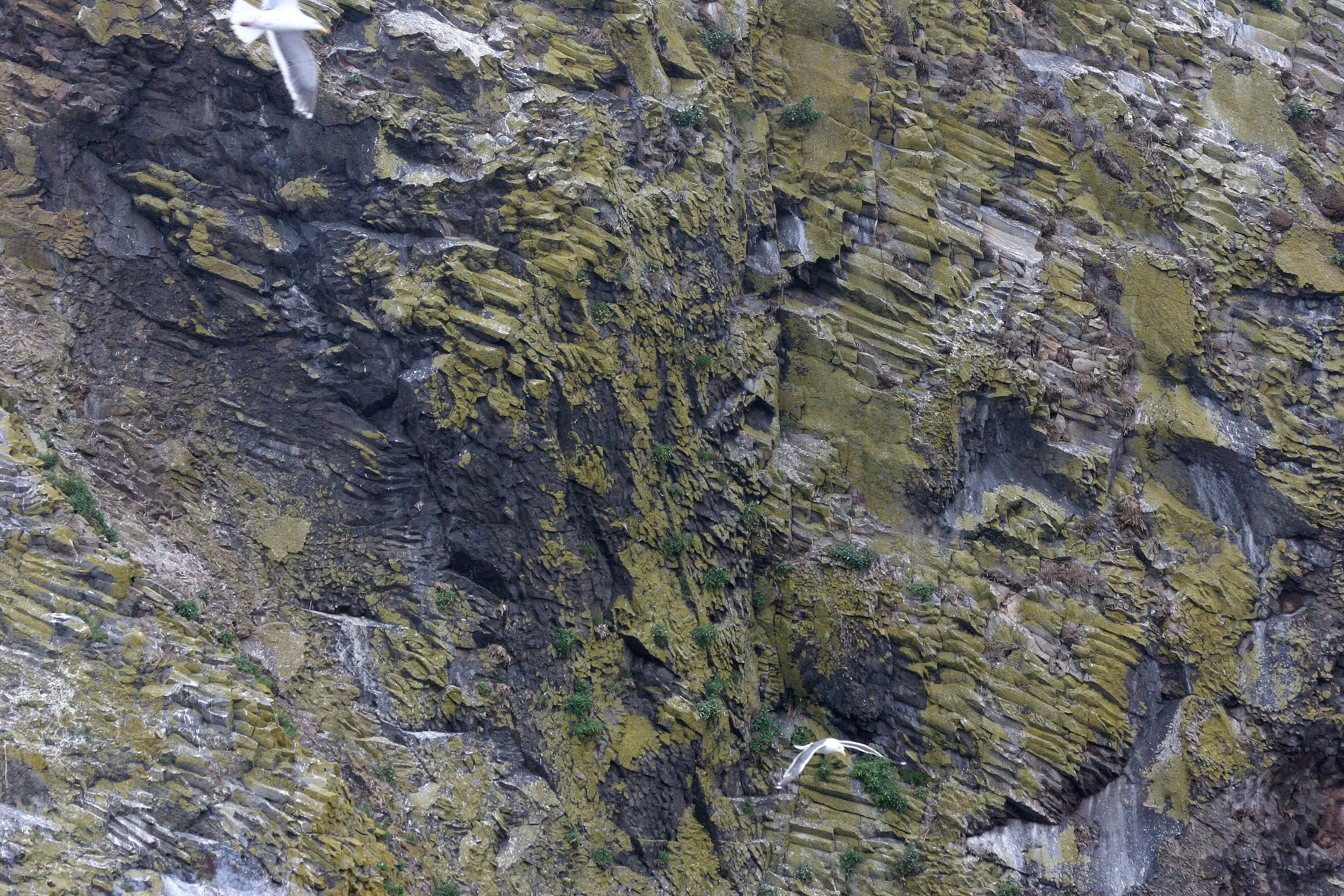 KURIL ISLANDS - VIEWS LANDSCAPES AND GEOLOGY (134).jpg