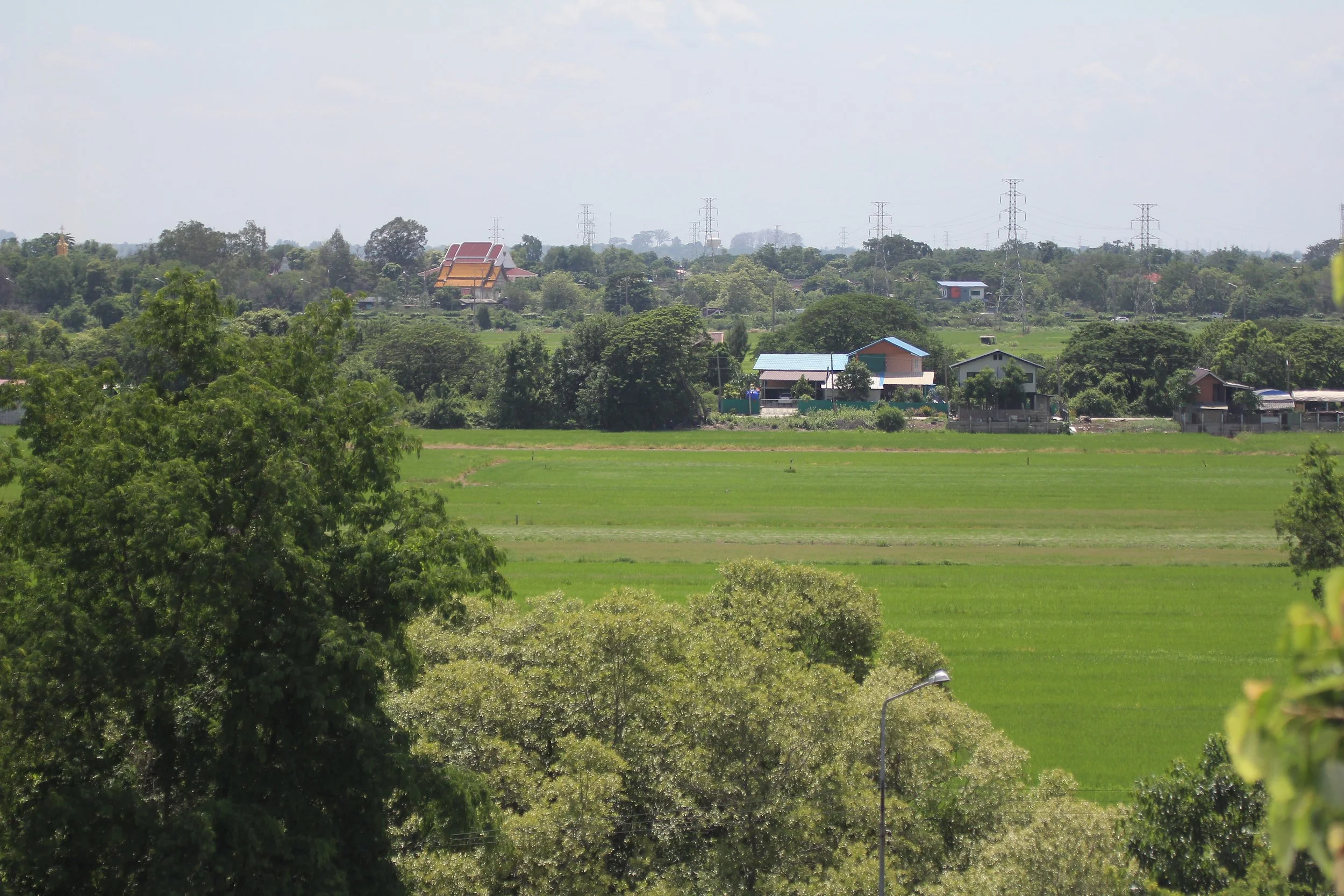 2020 - Ayutthaya Cokie's Pictures (206).JPG